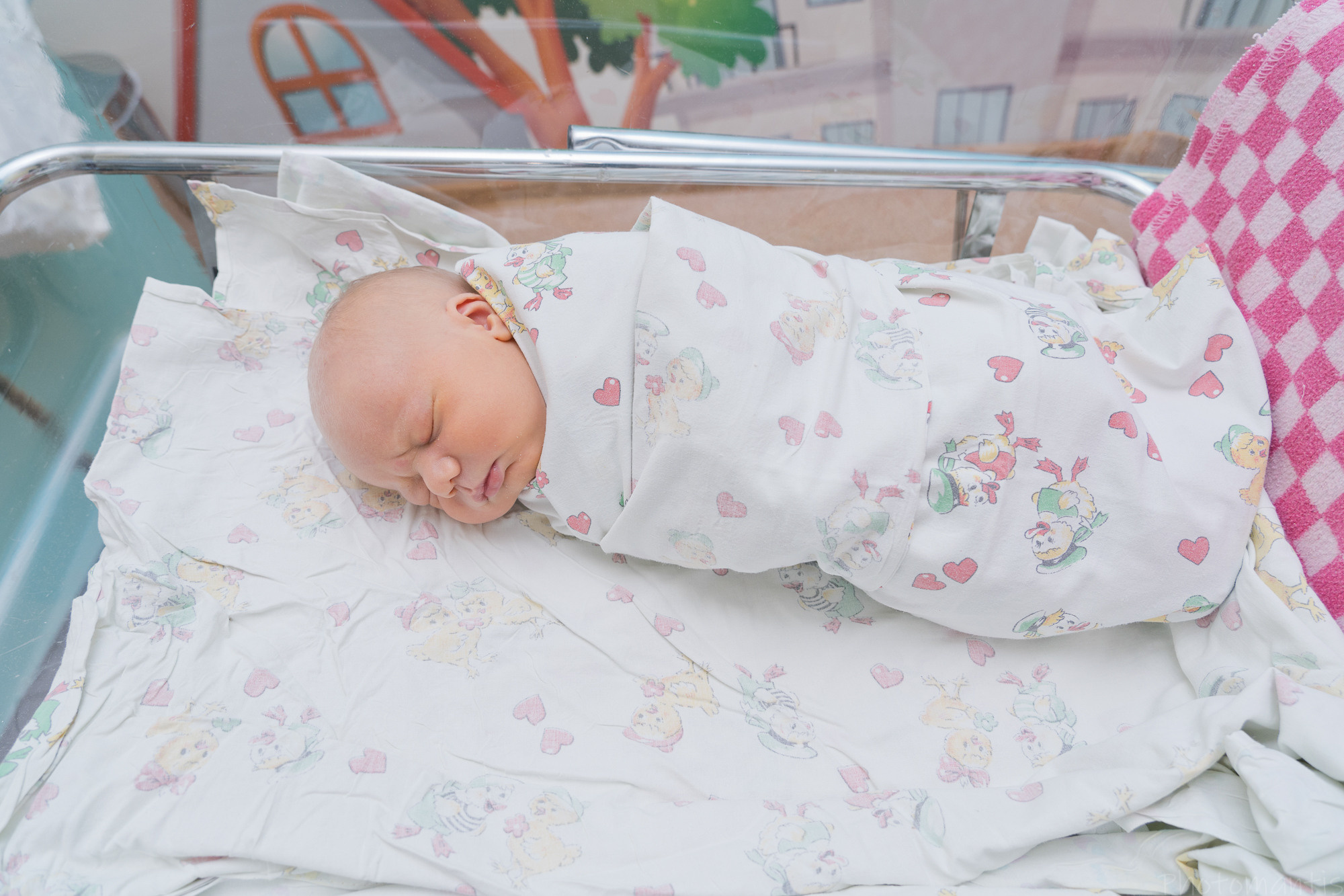 Выписка из роддома. Photomantis