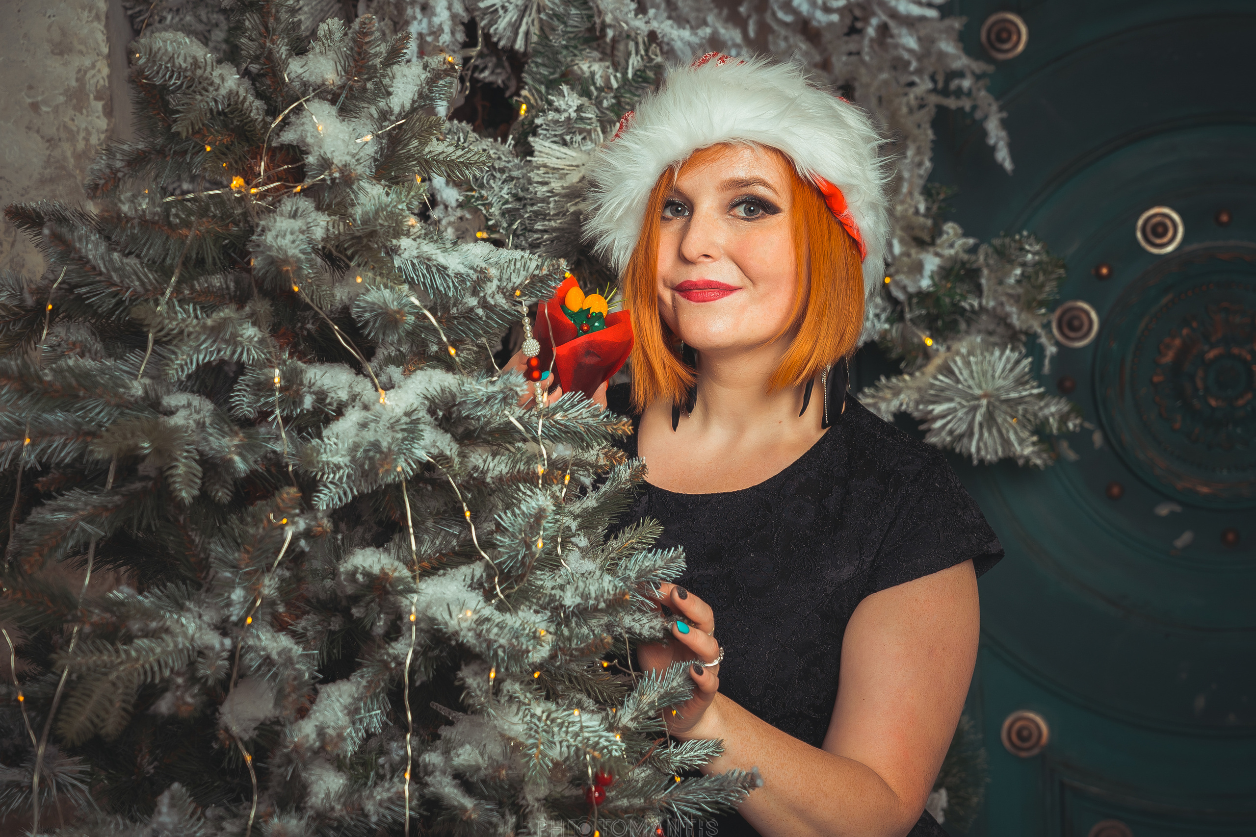 Новогоднее. Photomantis