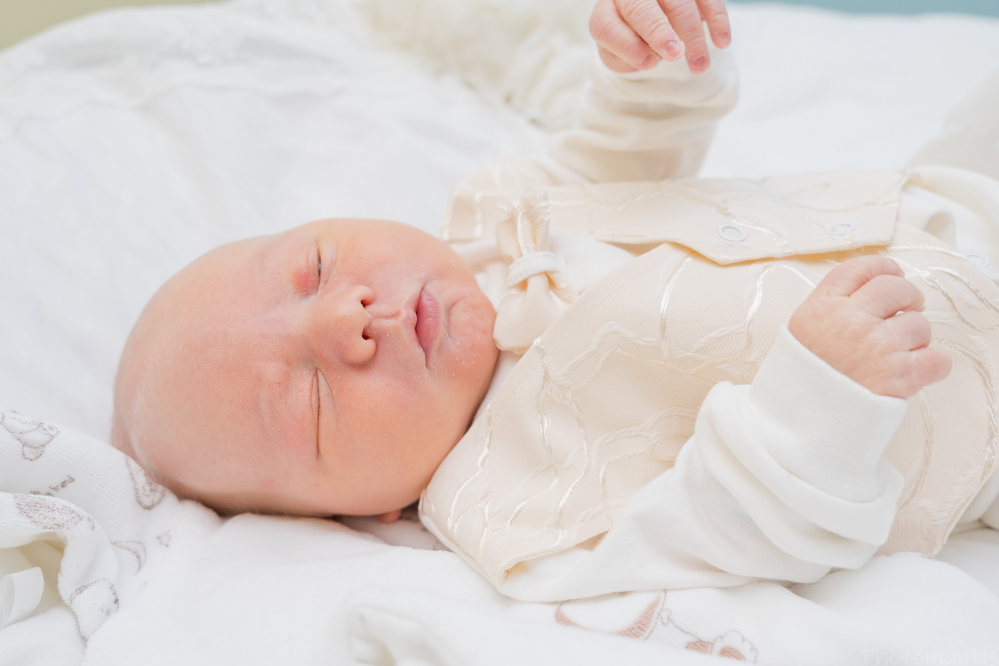 Выписка из роддома. Photomantis