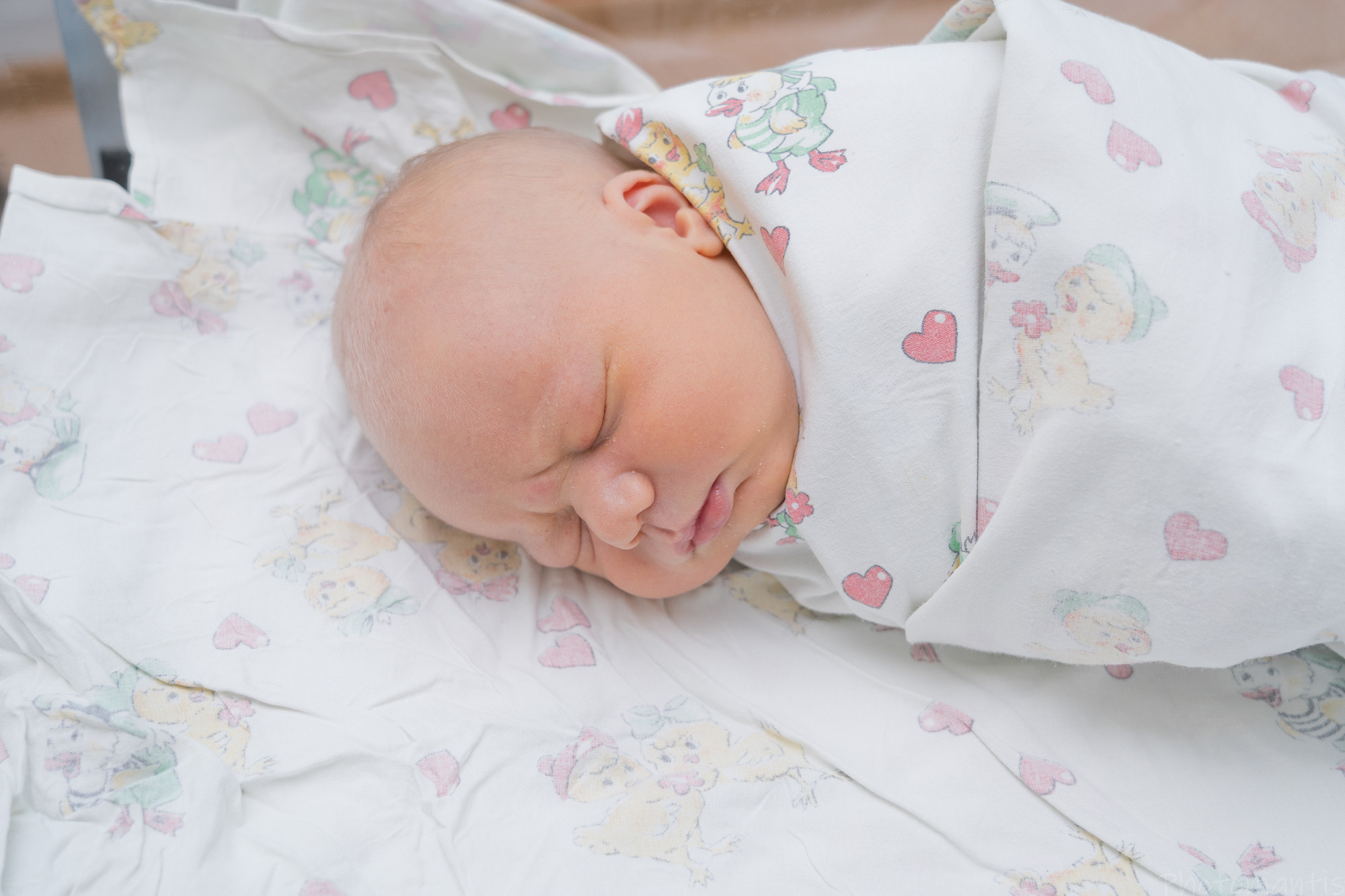 Выписка из роддома. Photomantis