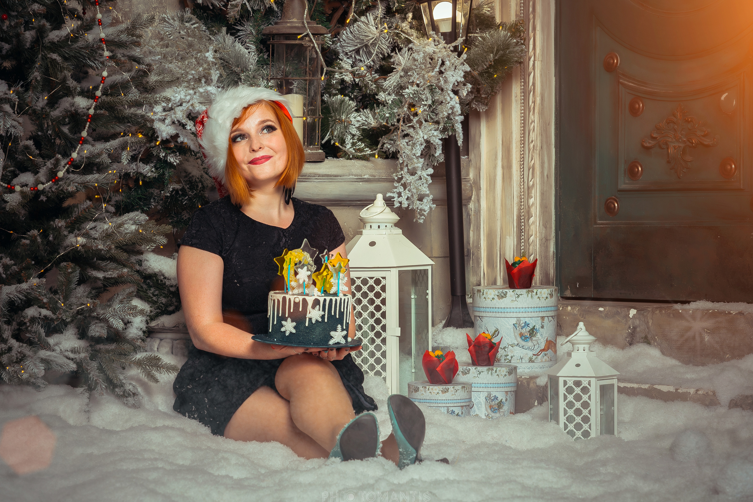 Новогоднее. Photomantis