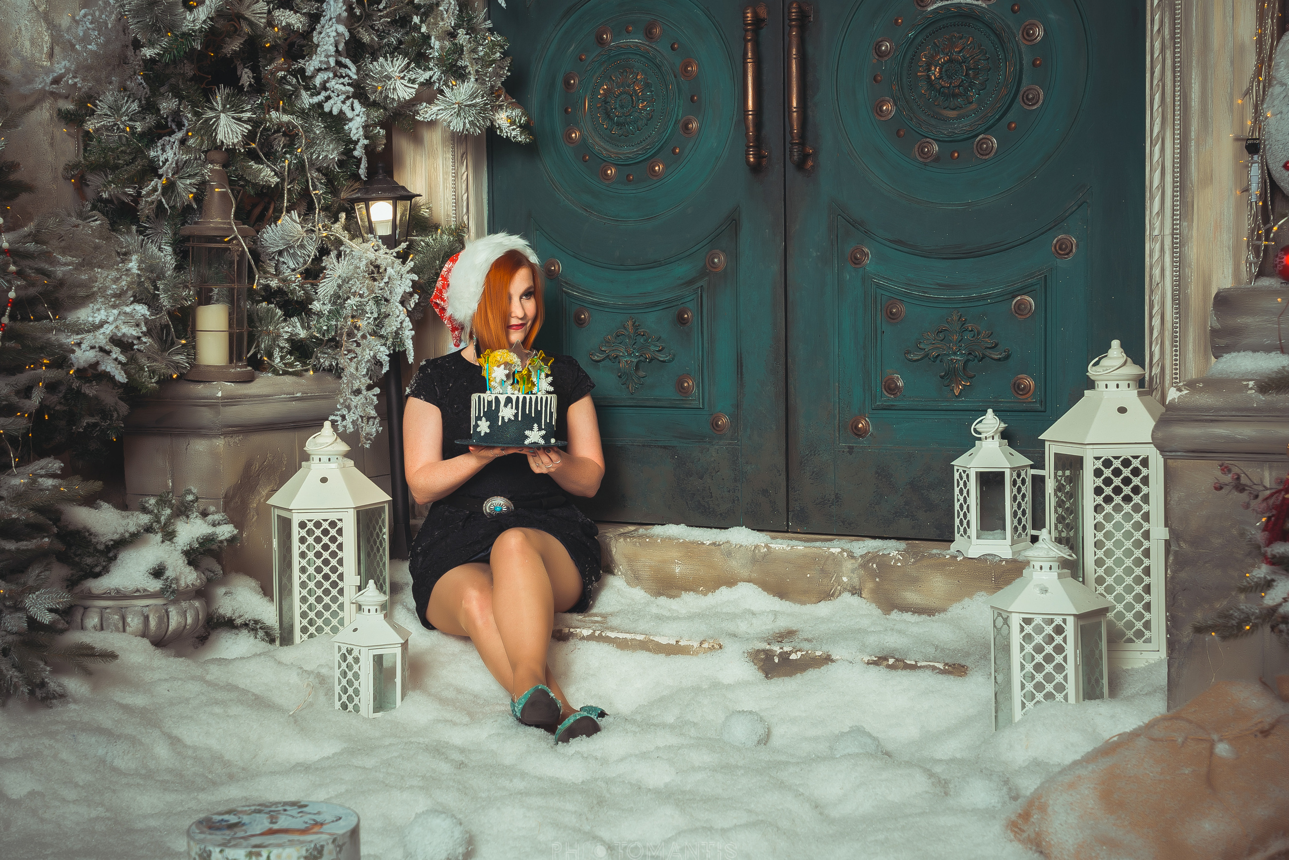 Новогоднее. Photomantis