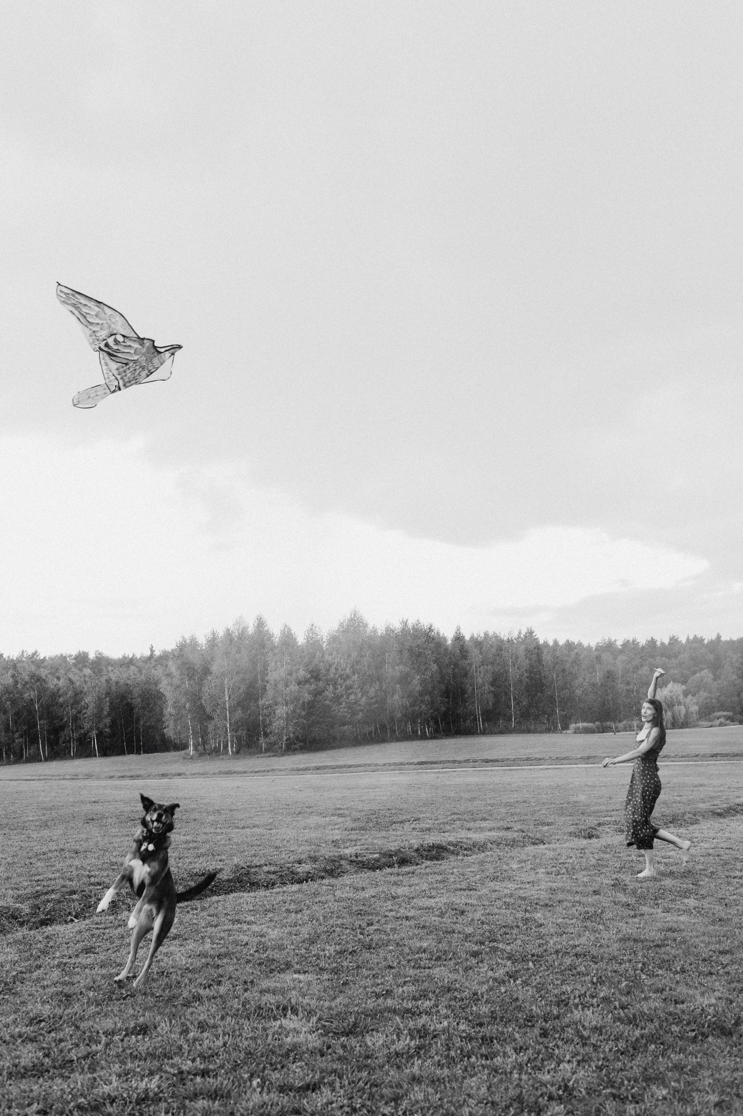 Саша, Дима, Маша, Герда и Хонда. Семейный фотограф в Москве Валерия Карпова