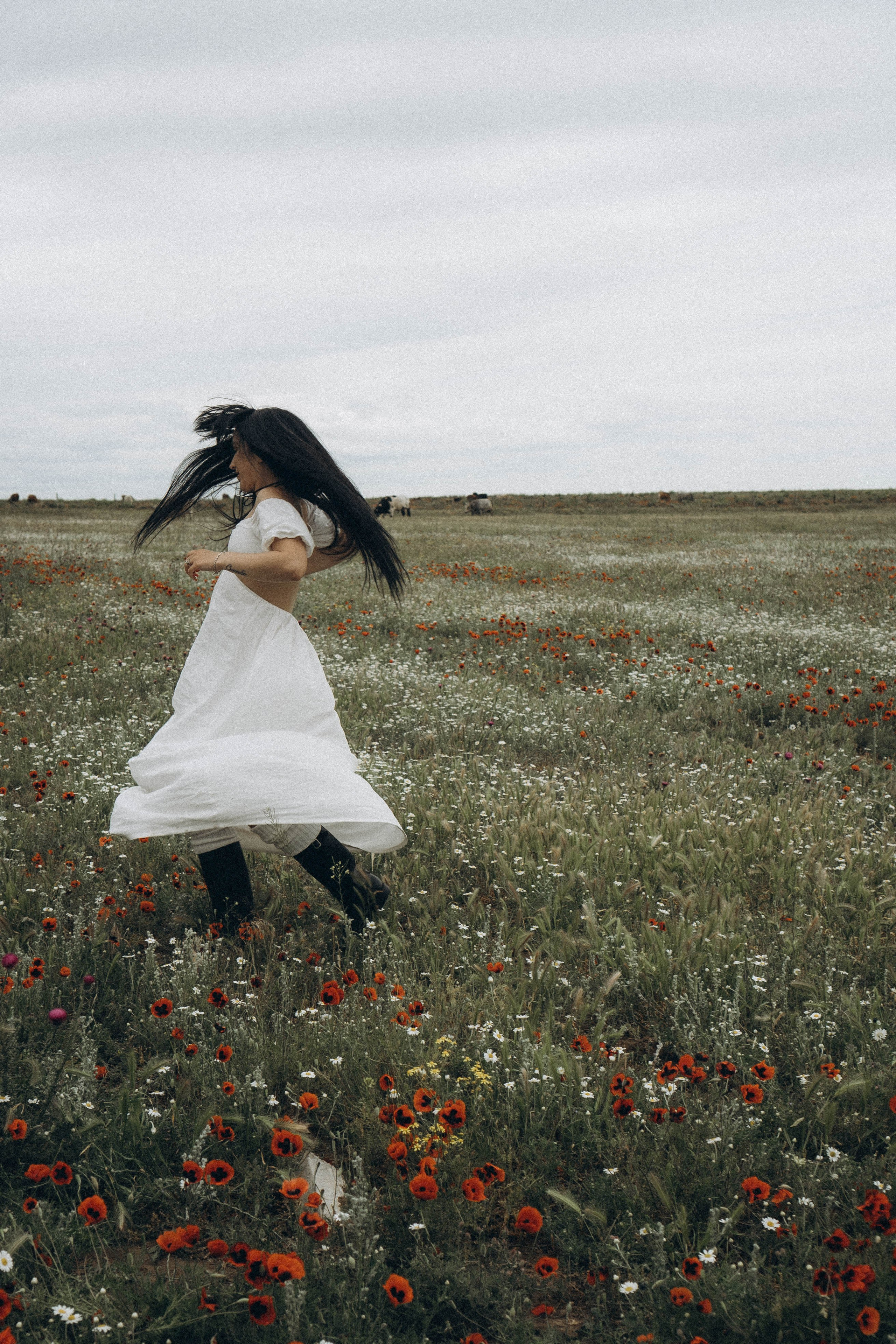 Маковое поле. Профессиональный фотограф, Санкт-Петербург — Виктория Богомолова