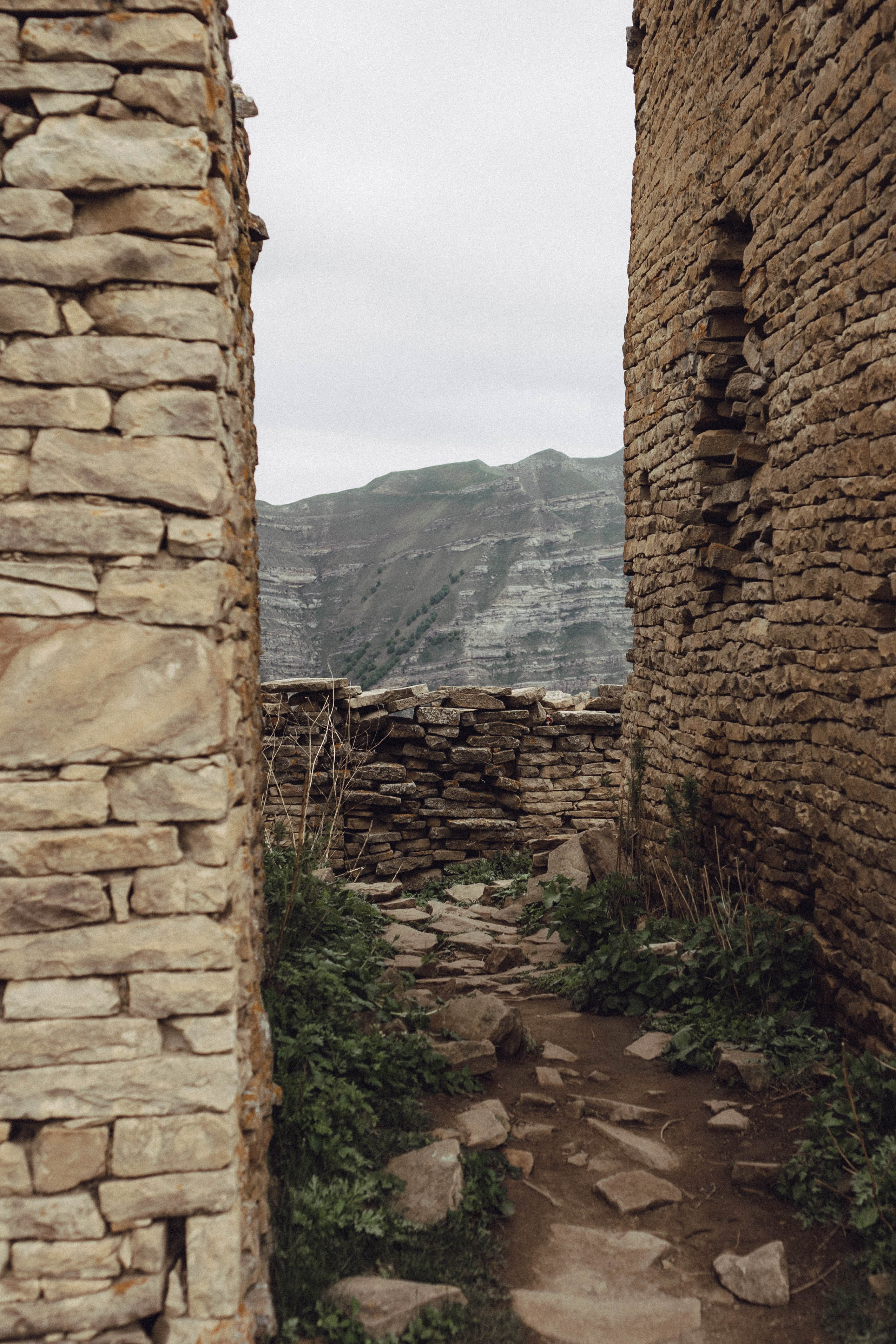 Кавказ. Профессиональный фотограф, Санкт-Петербург — Виктория Богомолова