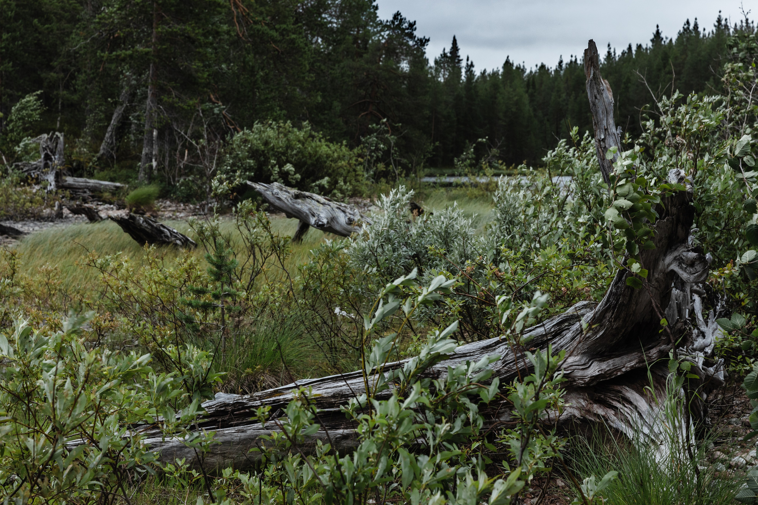Оз. Колвицкое. Фотографии