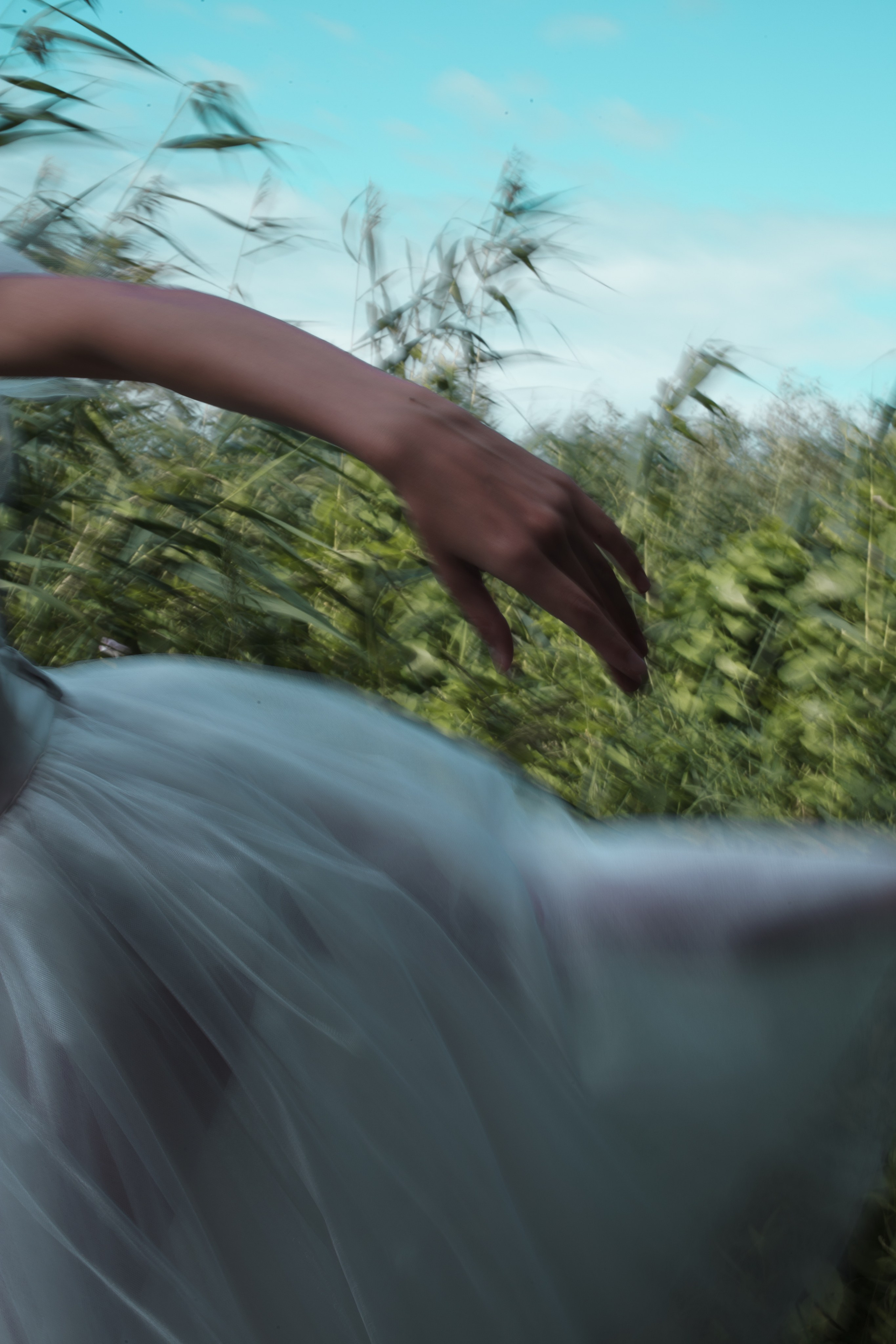 Жизель. Психолог с фотоаппаратом Зимина Оксана