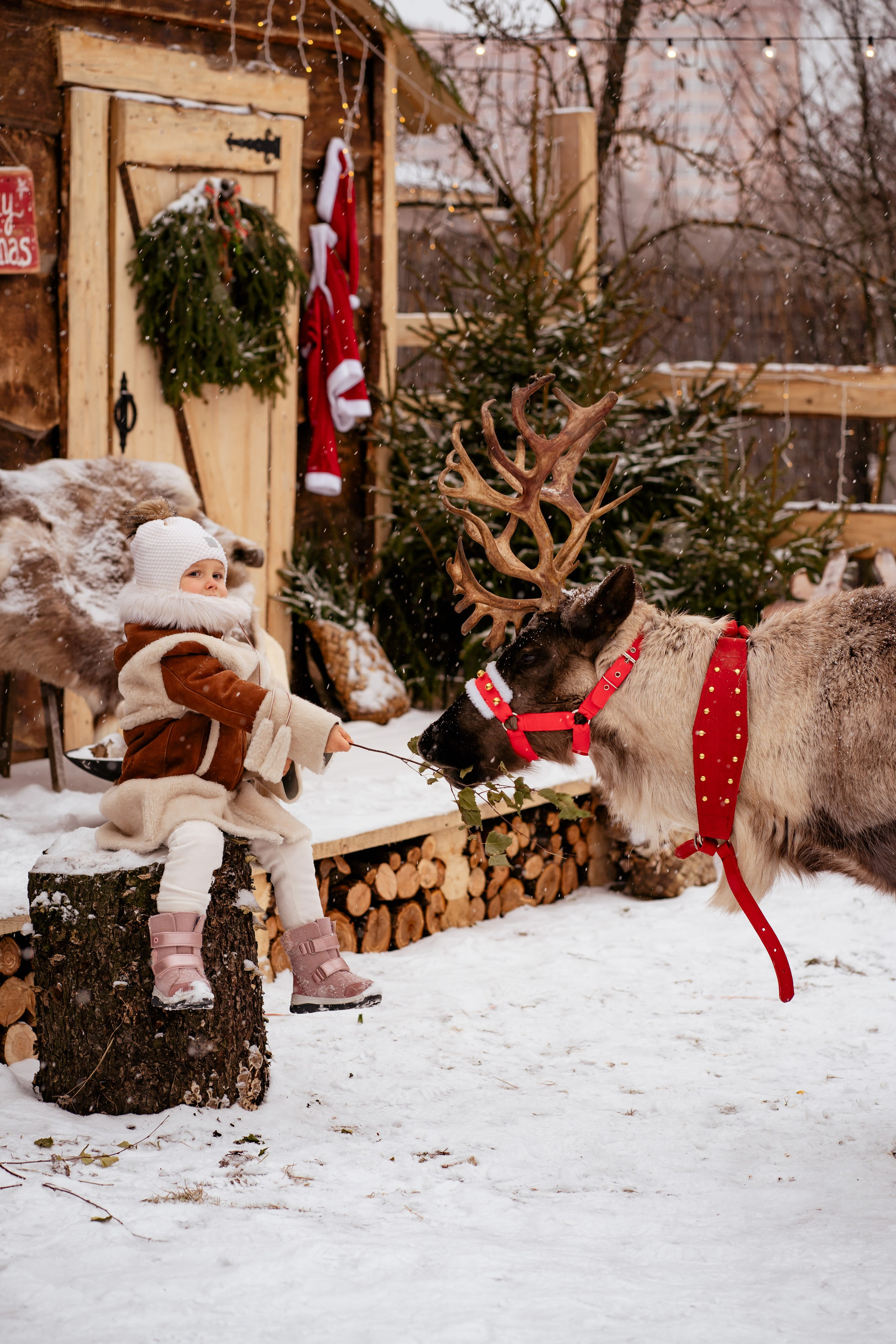 Фотодача «Калина» зима/новый год. Мои работы
