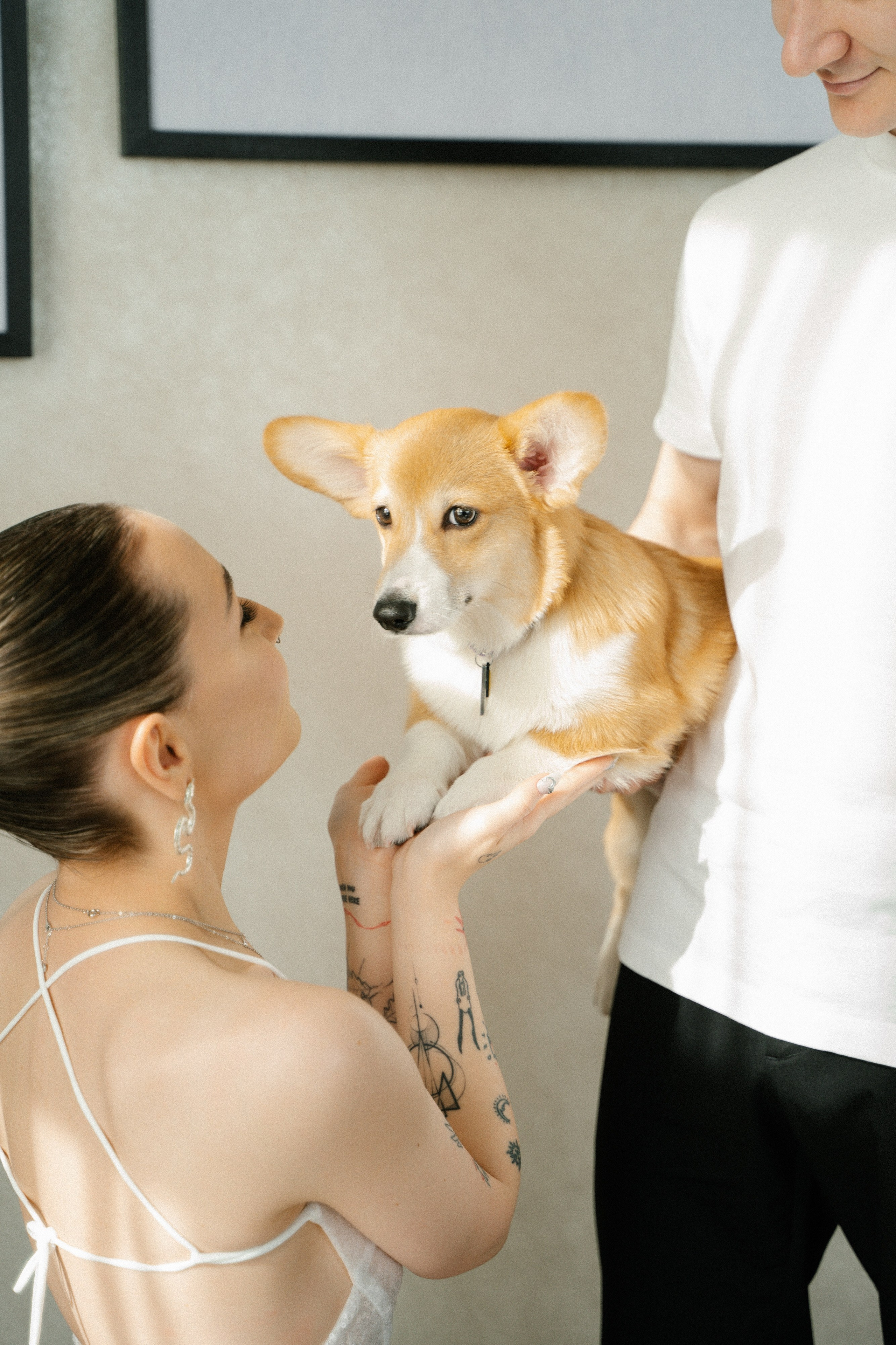 Вегас. Главная