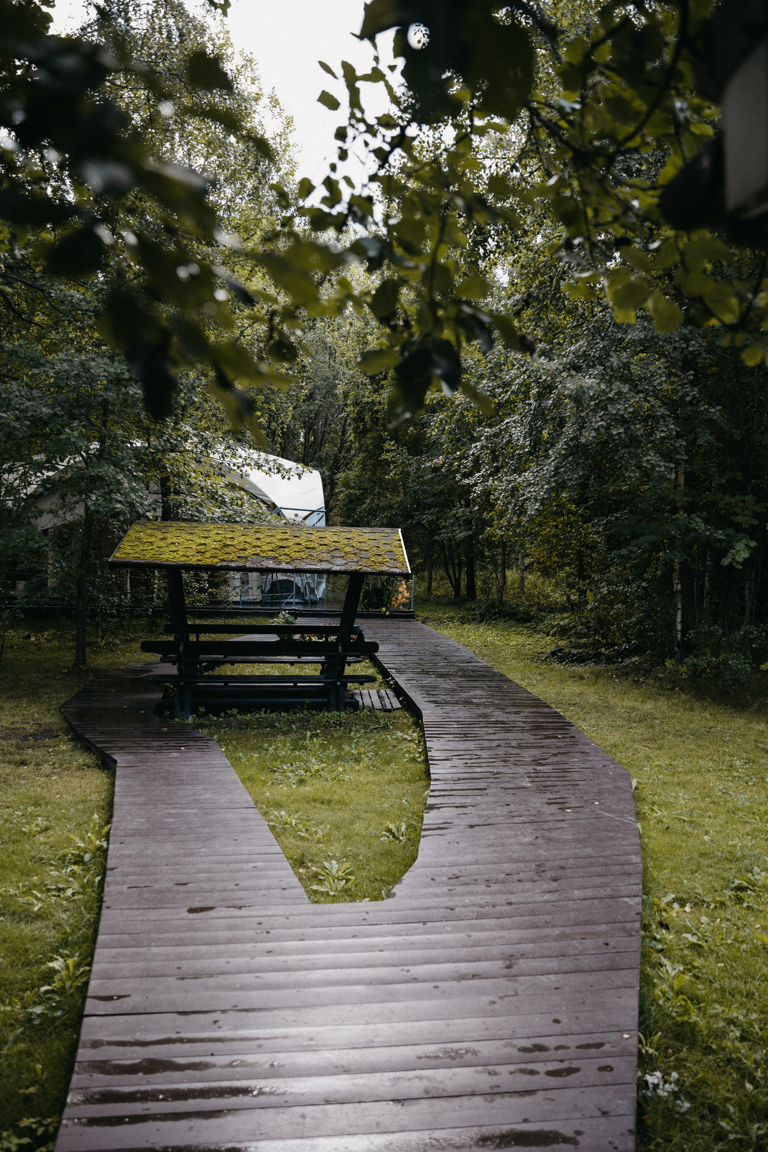 Яна и Антон. Фотограф в Санкт-Петербурге Ангелина Волкова