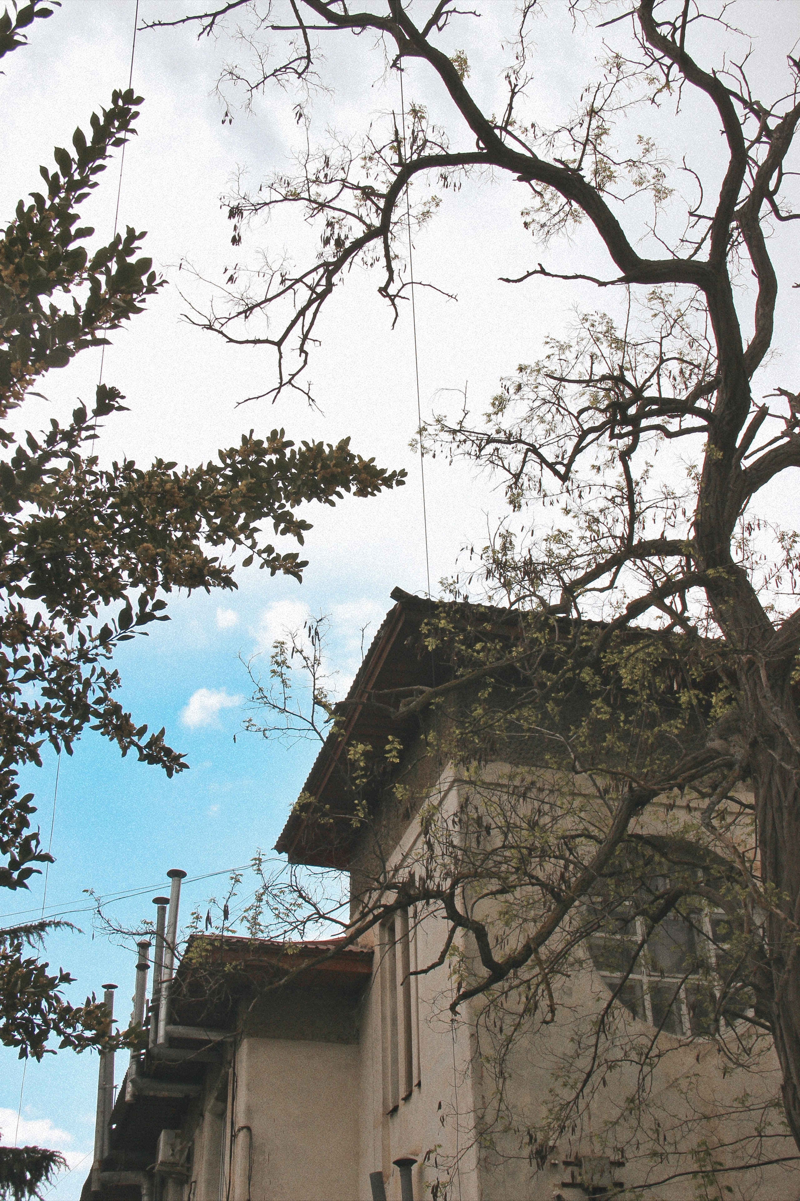 Крым. Фотограф и видеограф в Санкт-Петербурге