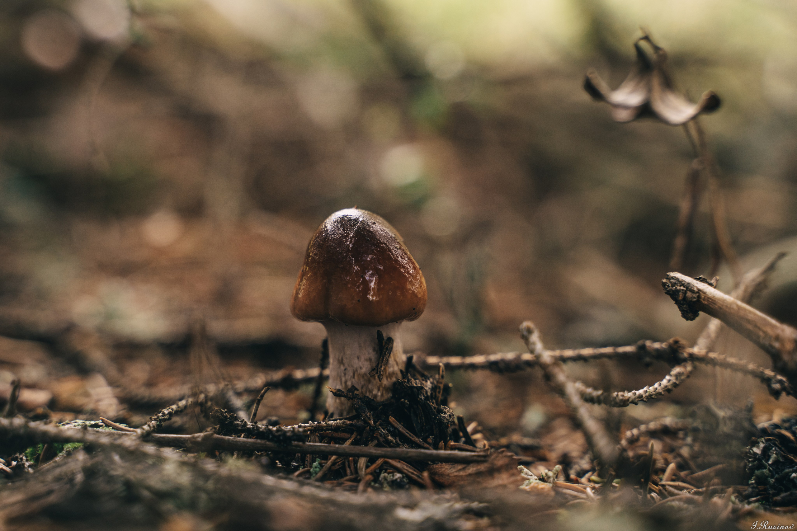 ХИБИНЫ 2021 г. Event фотограф Степанова Александра