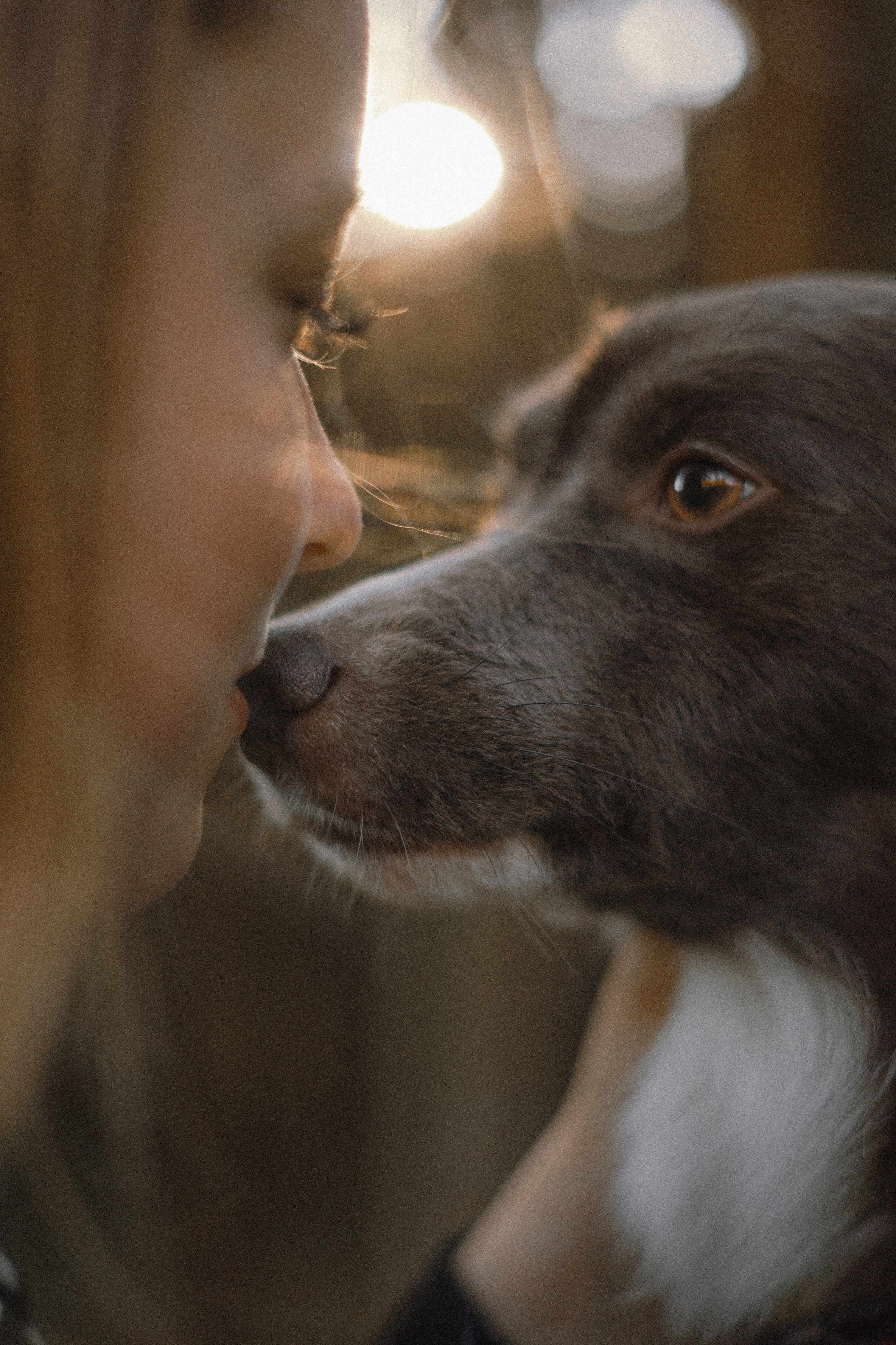 Даша и Дже. Фотограф-анималист Богданова Полина