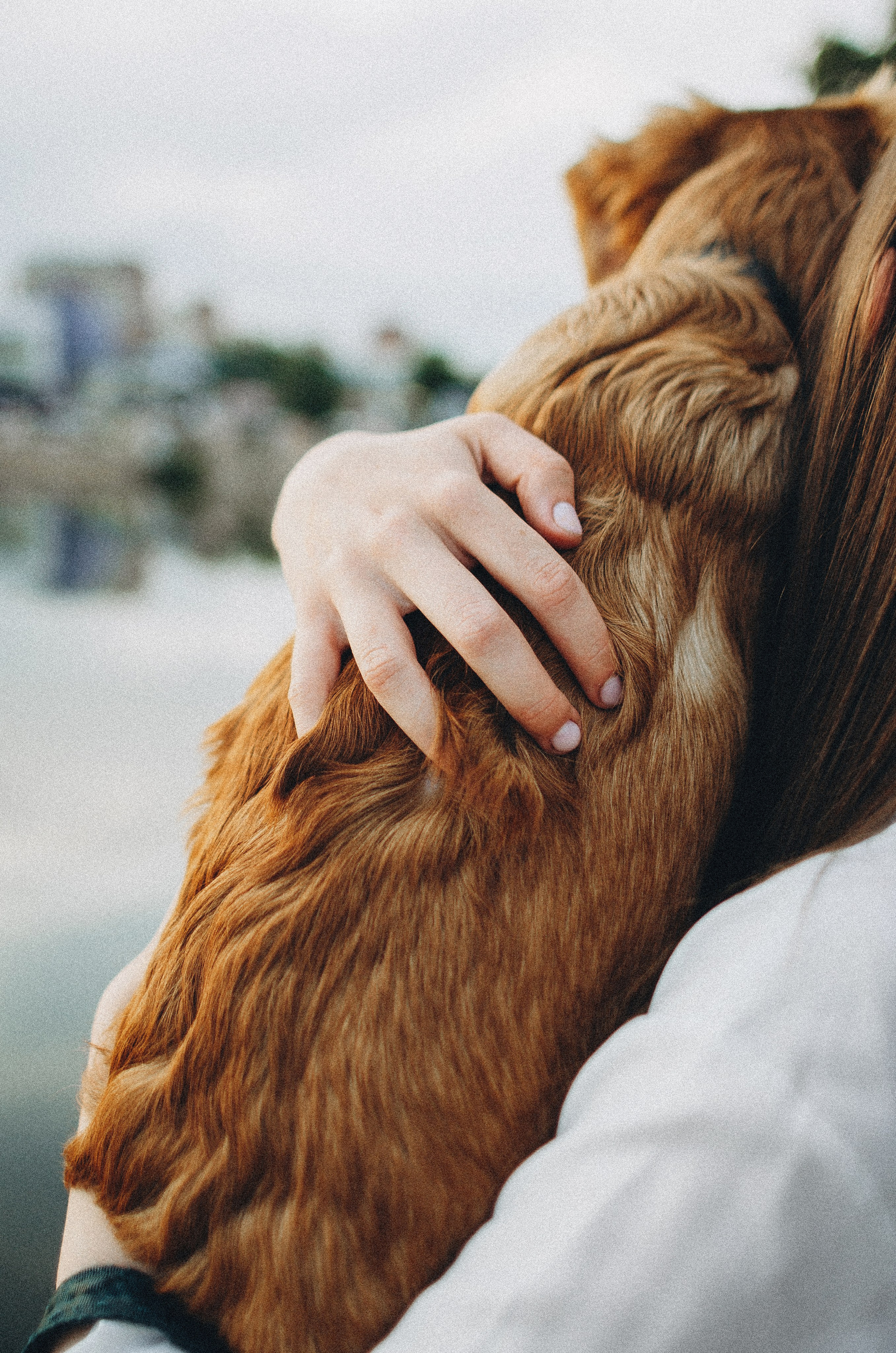 Вика и Хардин. Фотограф-анималист Богданова Полина