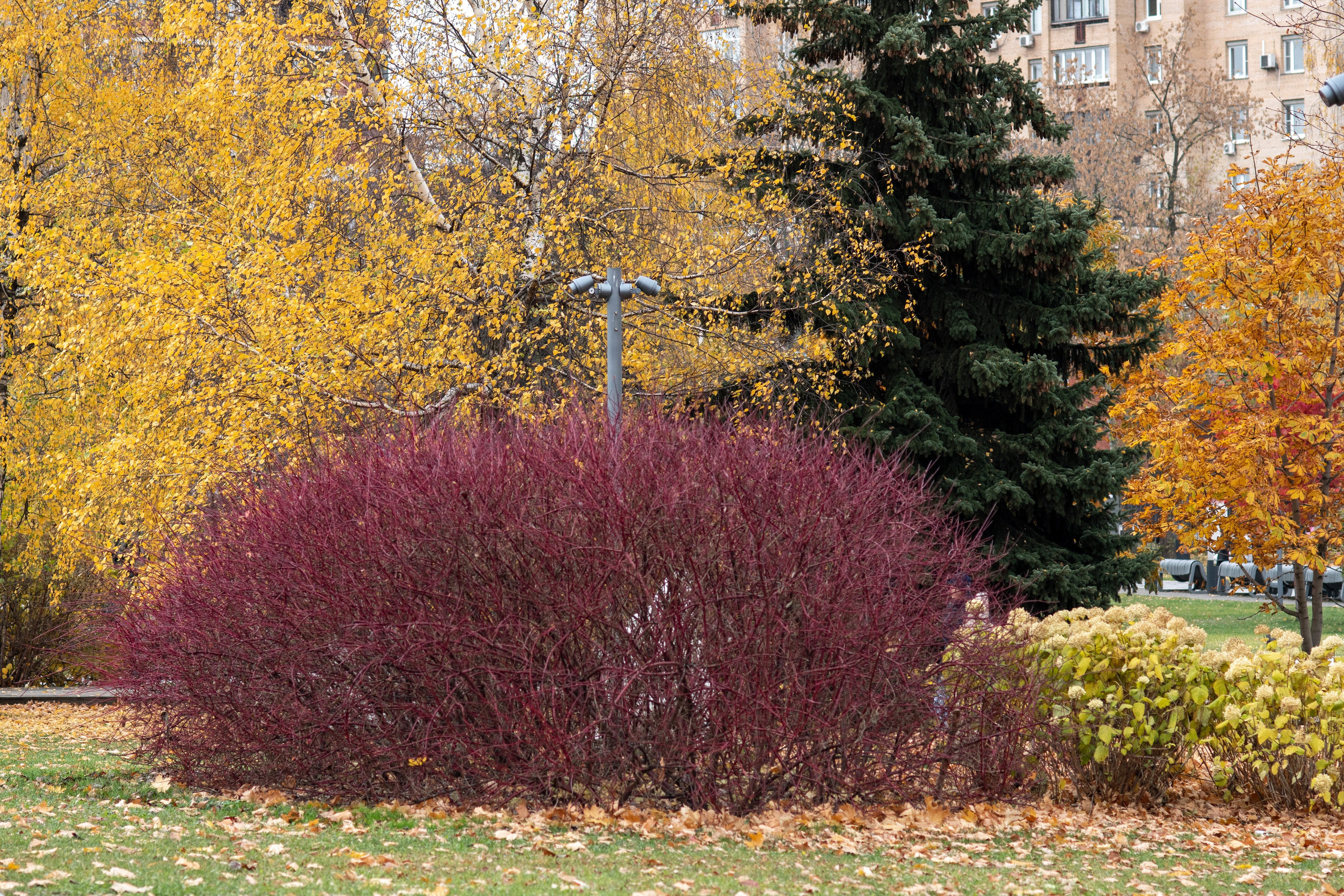 20211017 Музеон. Дмитрий Ремизов. Фотография, как хобби