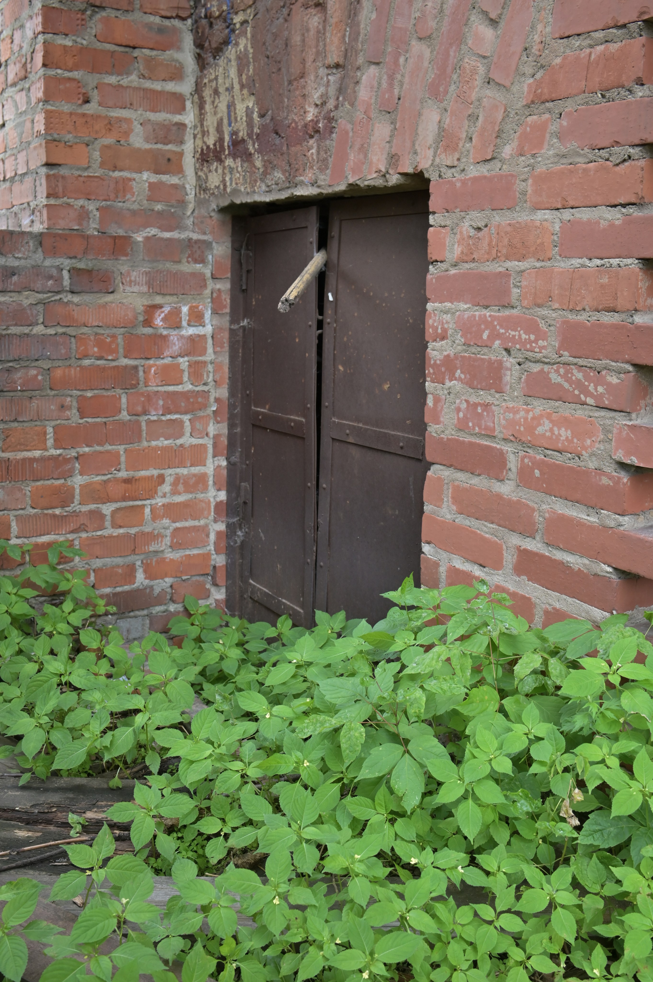 20240616 Крутицкое подворье. Дмитрий Ремизов. Фотография, как хобби