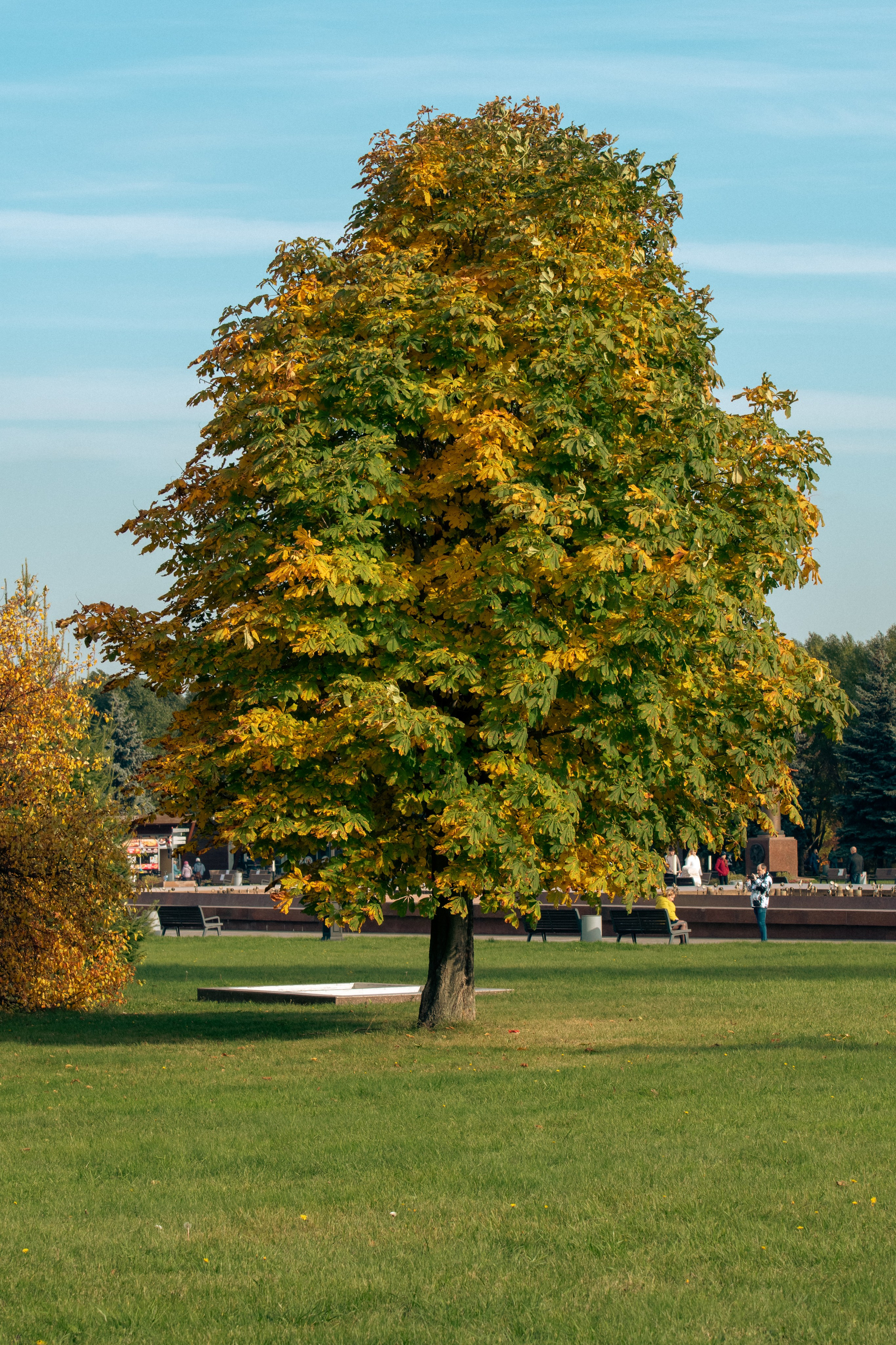 20211003 Поклонка. Дмитрий Ремизов. Фотография, как хобби