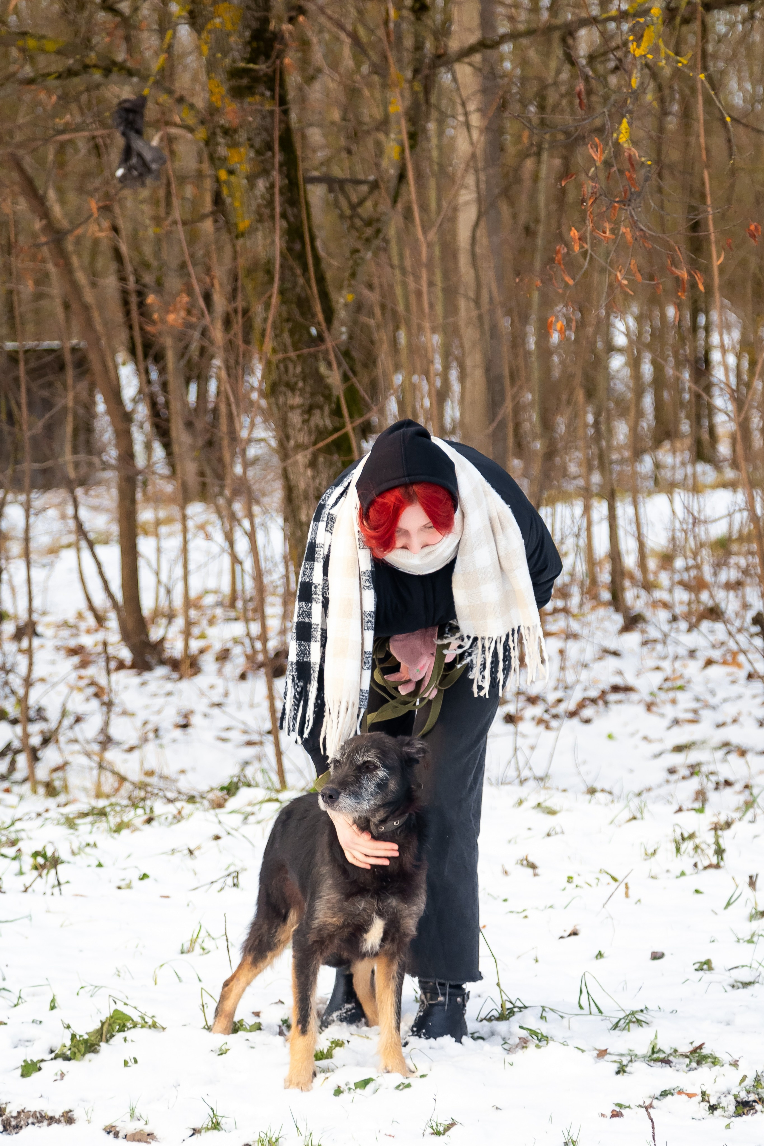 Petshop Забота. Фотограф в Санкт-Петербурге Чумаков Семен