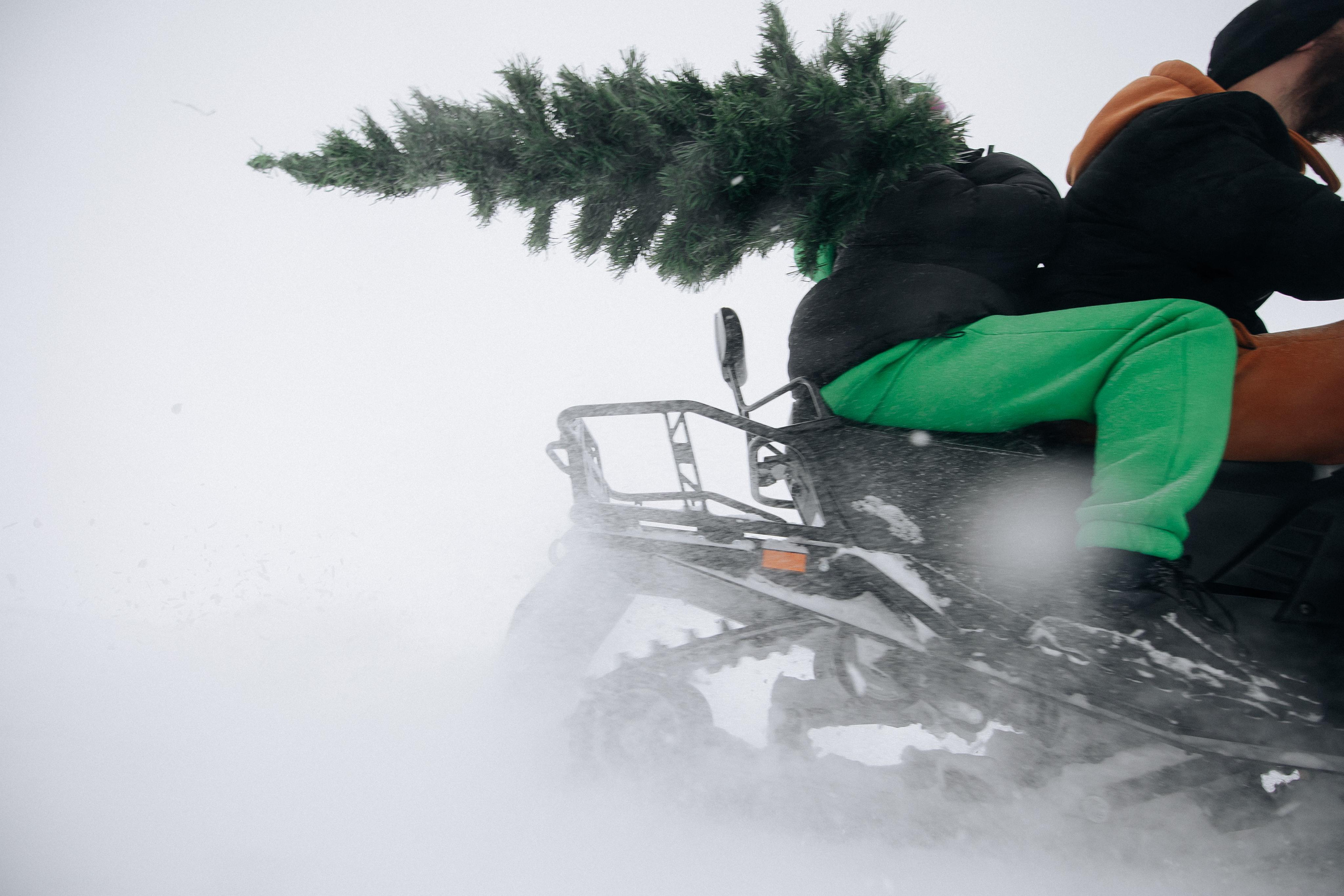 L&K. Фотограф в Новосибирске и Москве