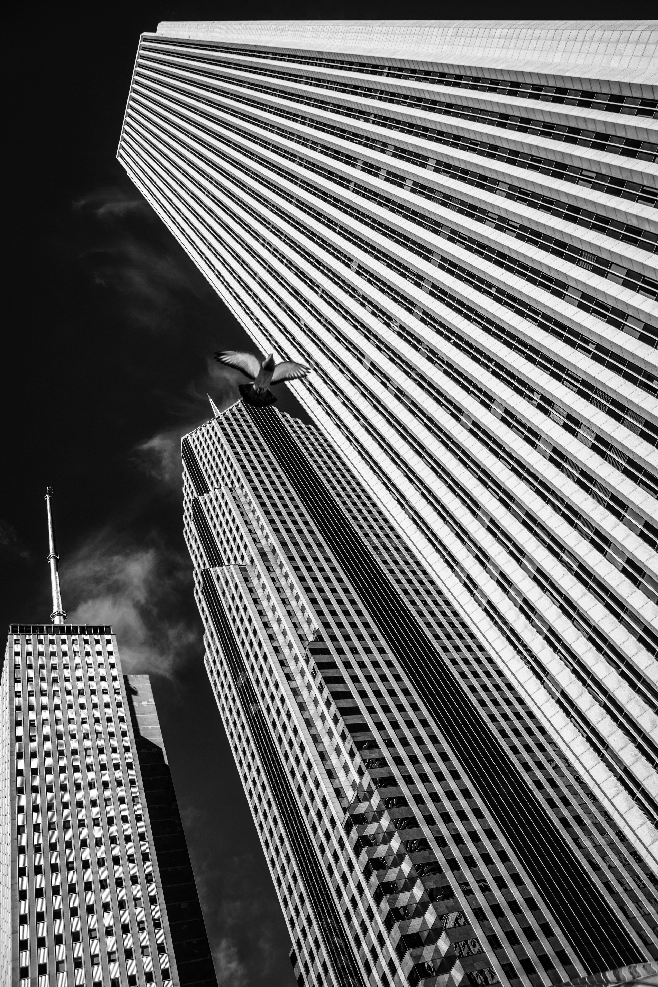 Чикаго, США. Фотограф Владимир Остапенко