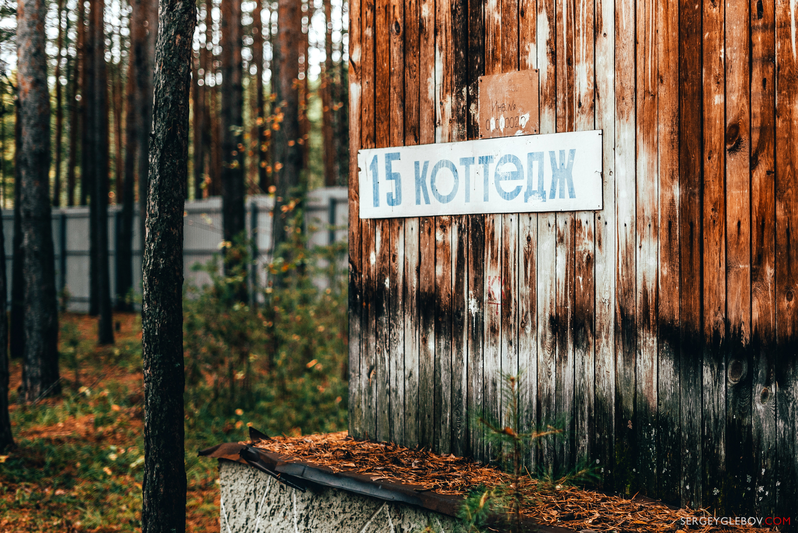 "Хижина в лесу" / "The Cabin In The Woods"#cabin #woods #cottage #sgcamart #хижинавлесу #хижина #фотоТюмень #тюменьфотограф #тюменьфото тюмень