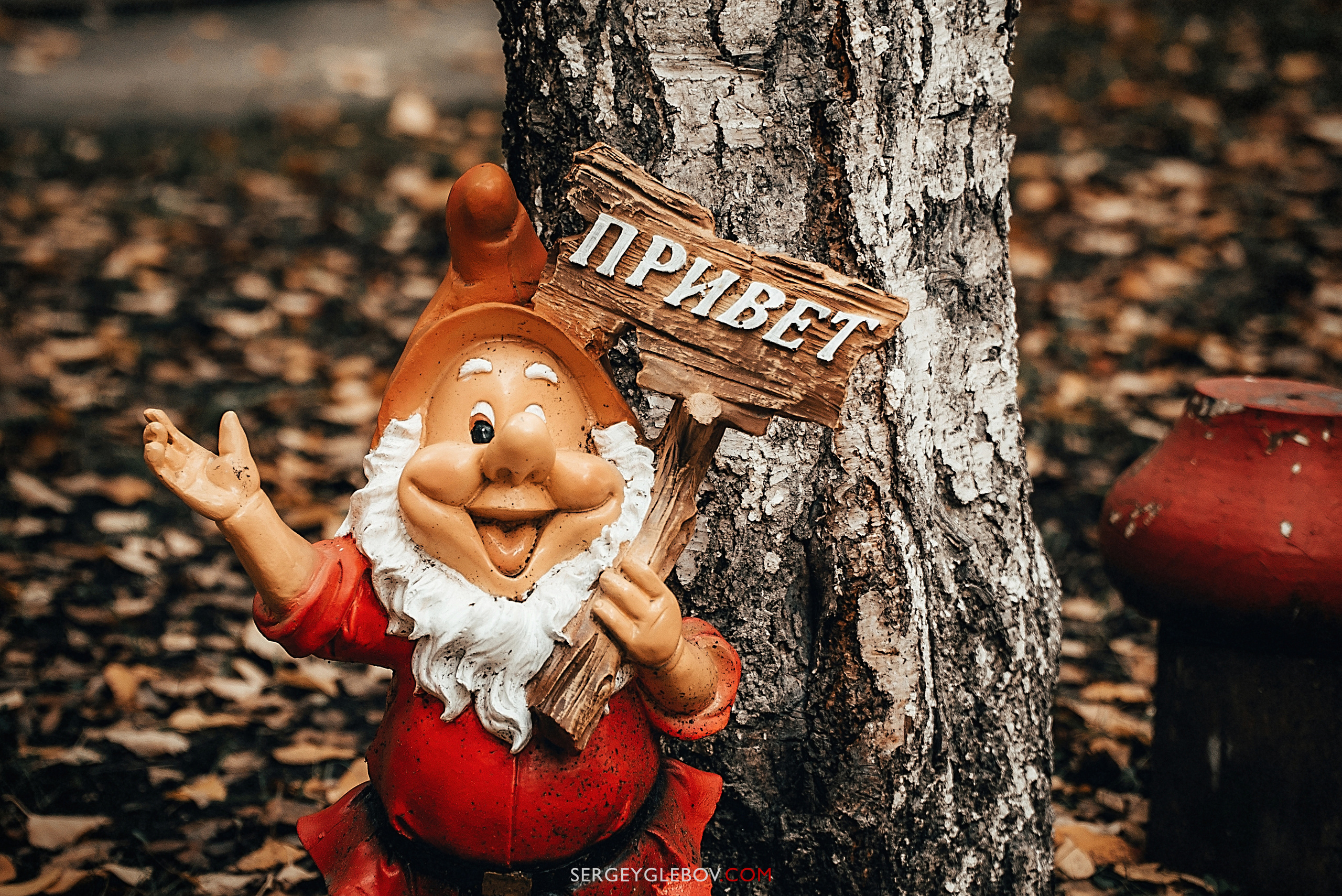 Предметная съемка. Сергей Глебов - фотограф