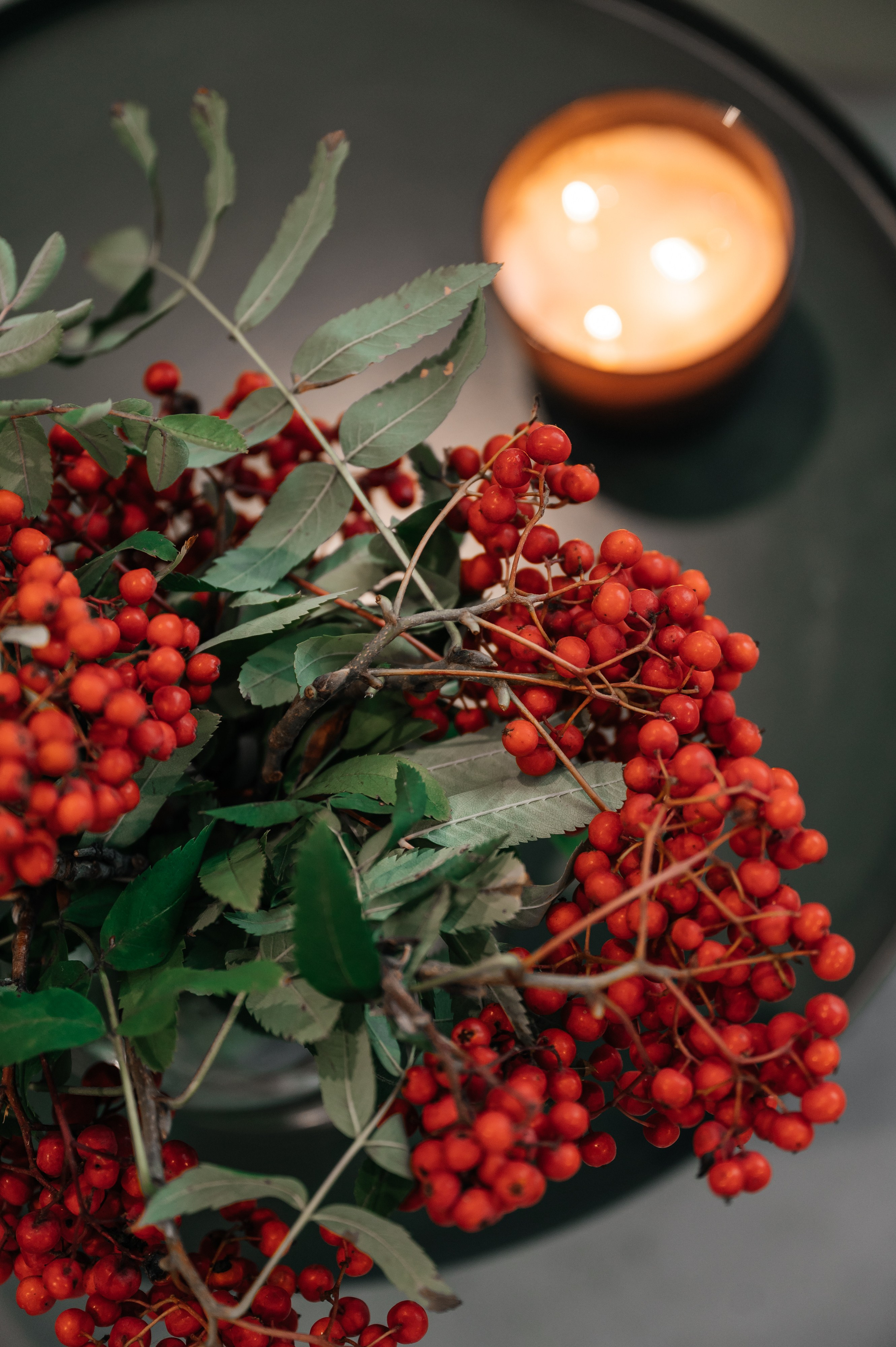 Вечер поэзии Цветаевой, клуб Читалка. Wedding and family photographer USA