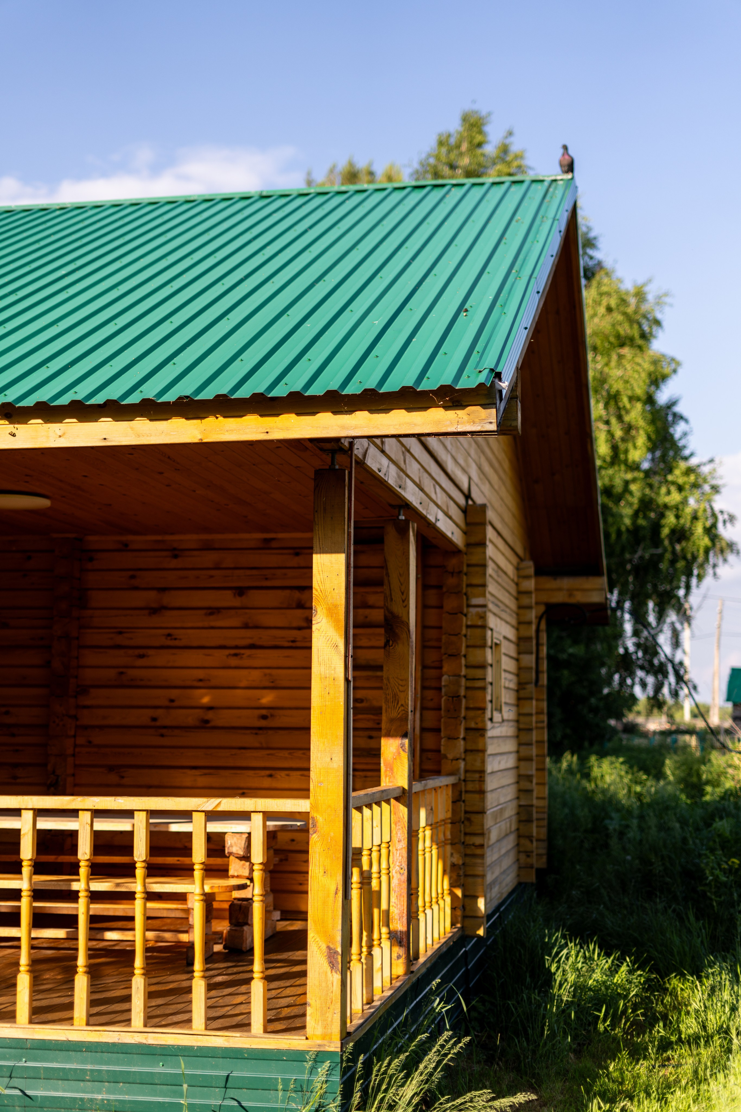 Полянка. Анастасия Паршукова — фотограф Шерегеш Новосибирск
