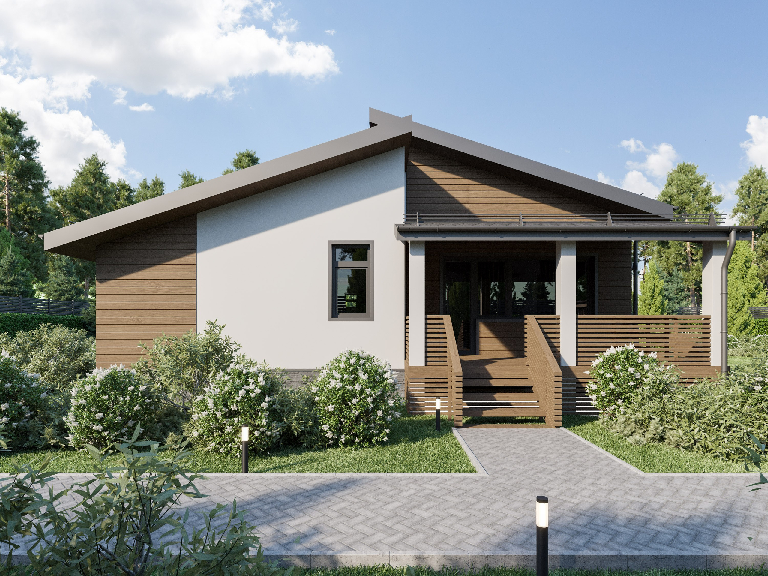 3D визуализация фасада небольшого дома с комбинацией дерева и штукатурки