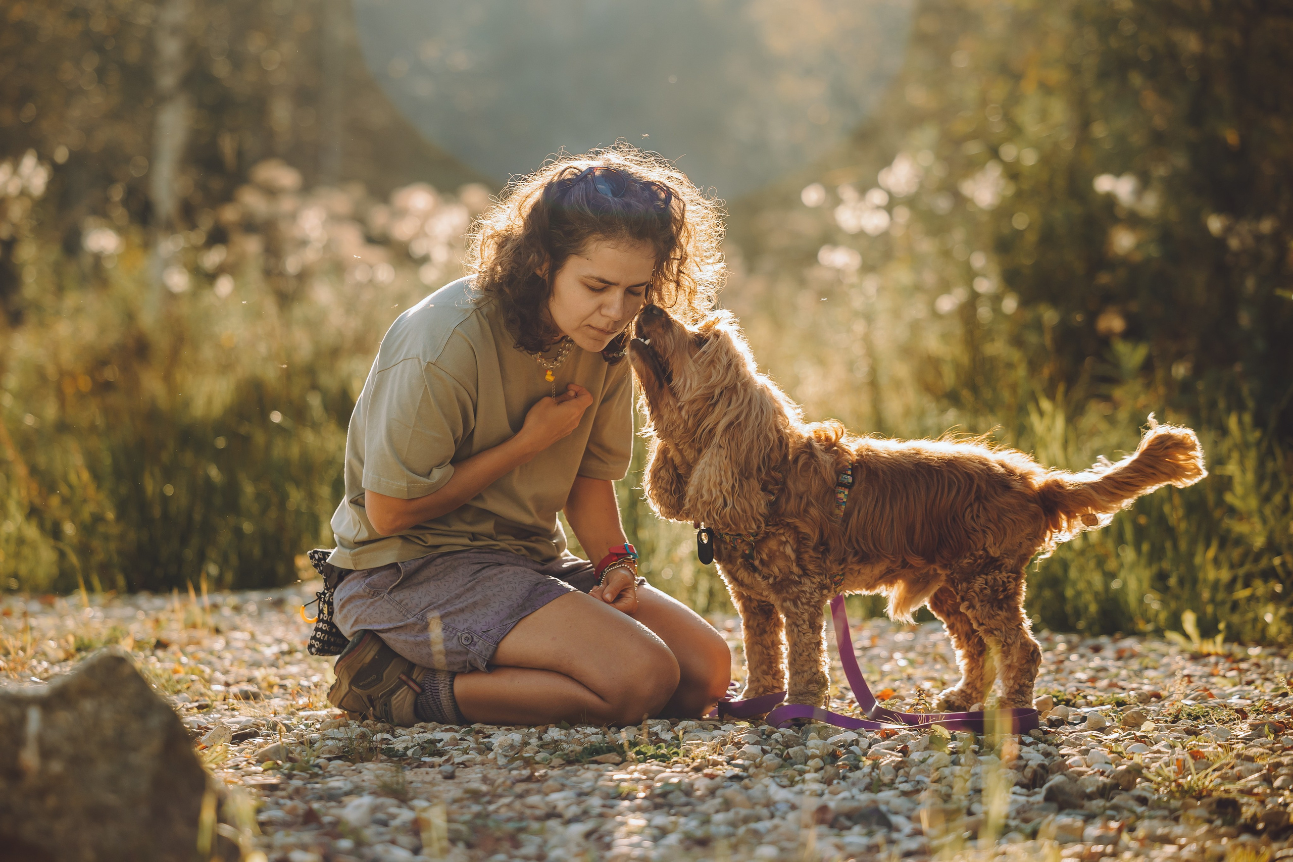Выездной дог-тренинг от школы «Шерсть имею», Тованово