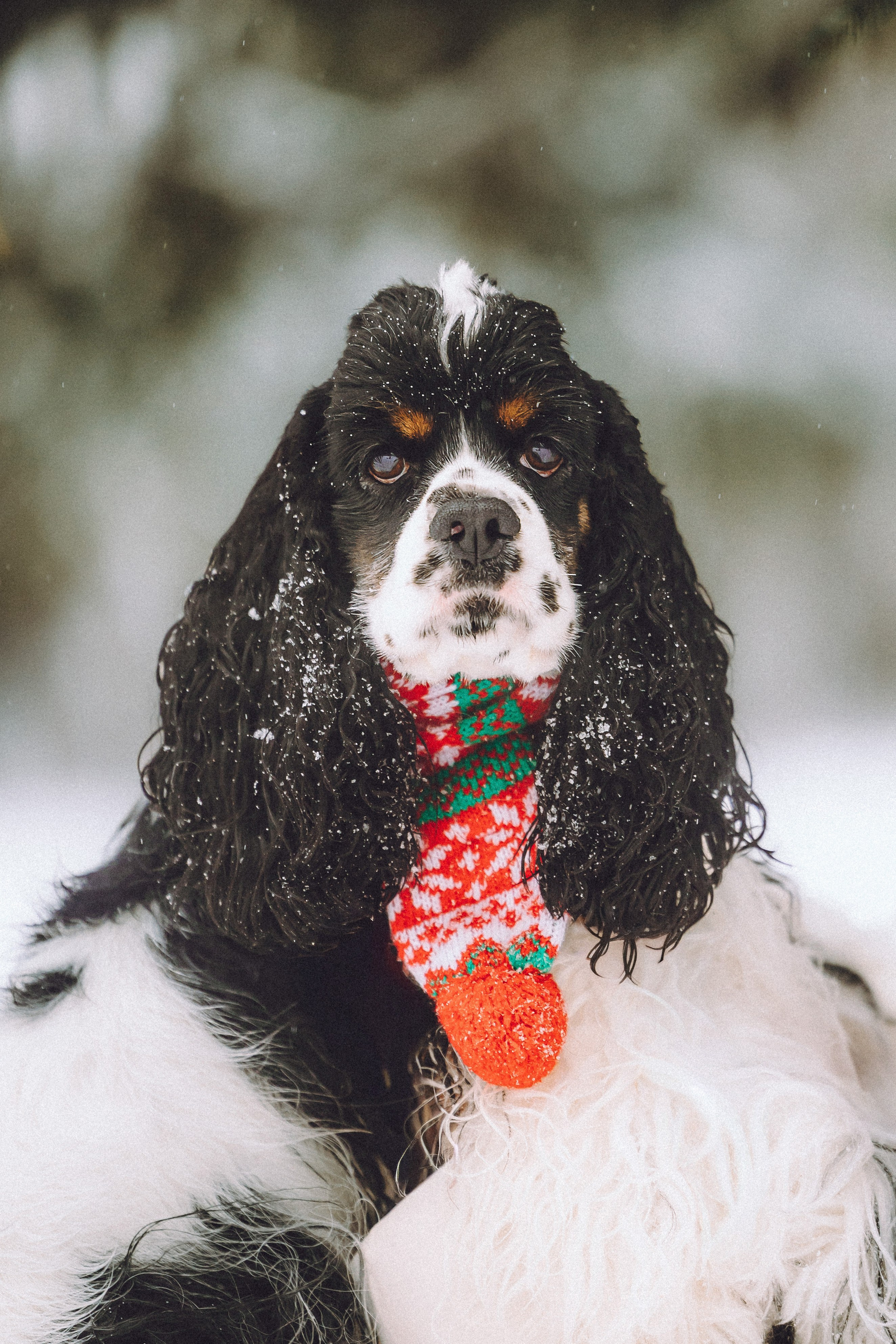 Ольга и Патрик