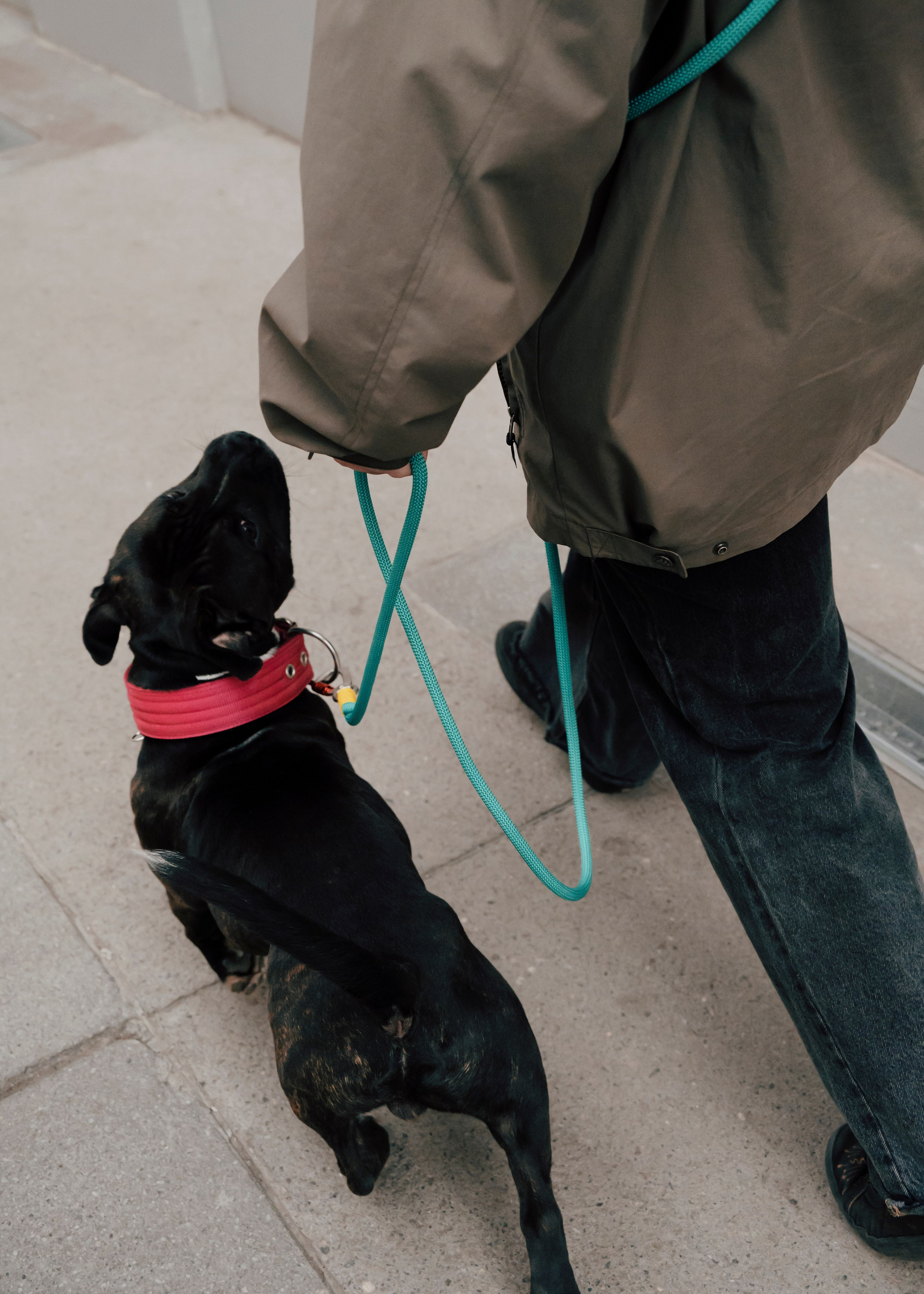 Держись меня. Фотограф- анималист Александра Матвеева