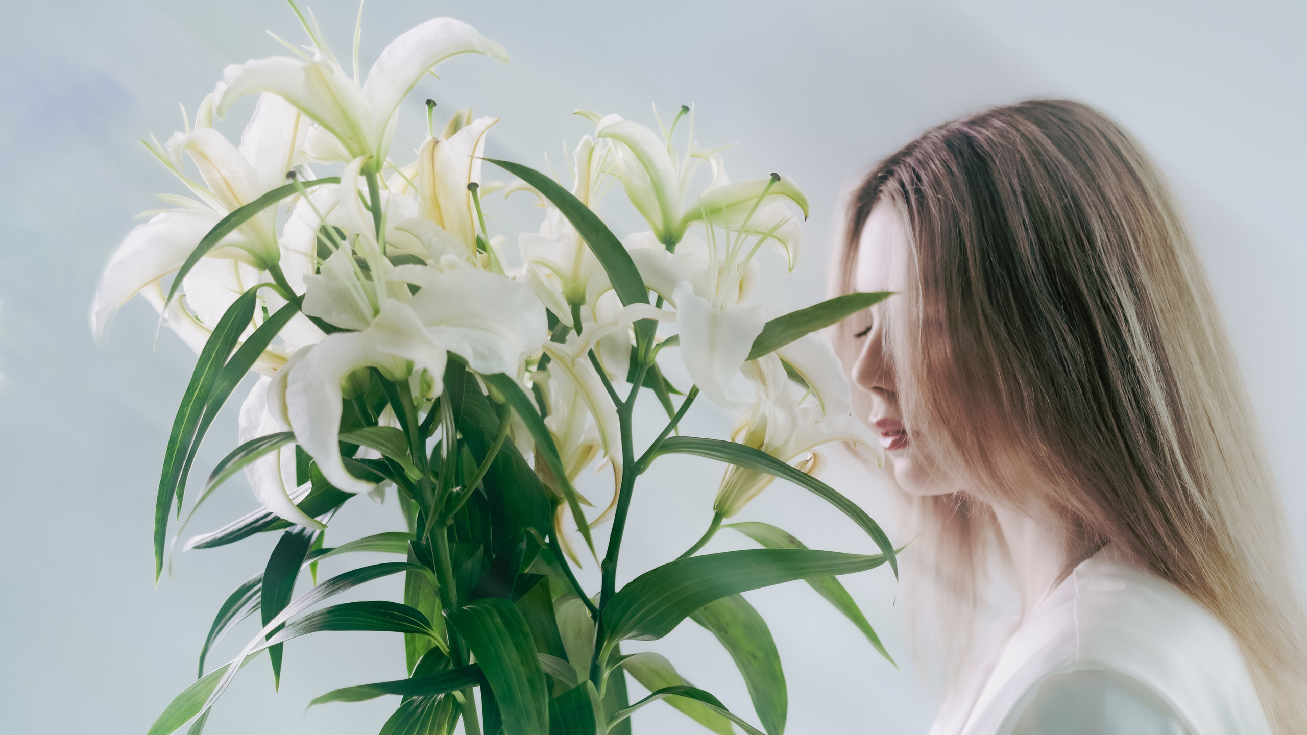 Алиса. Алексей Лещенко