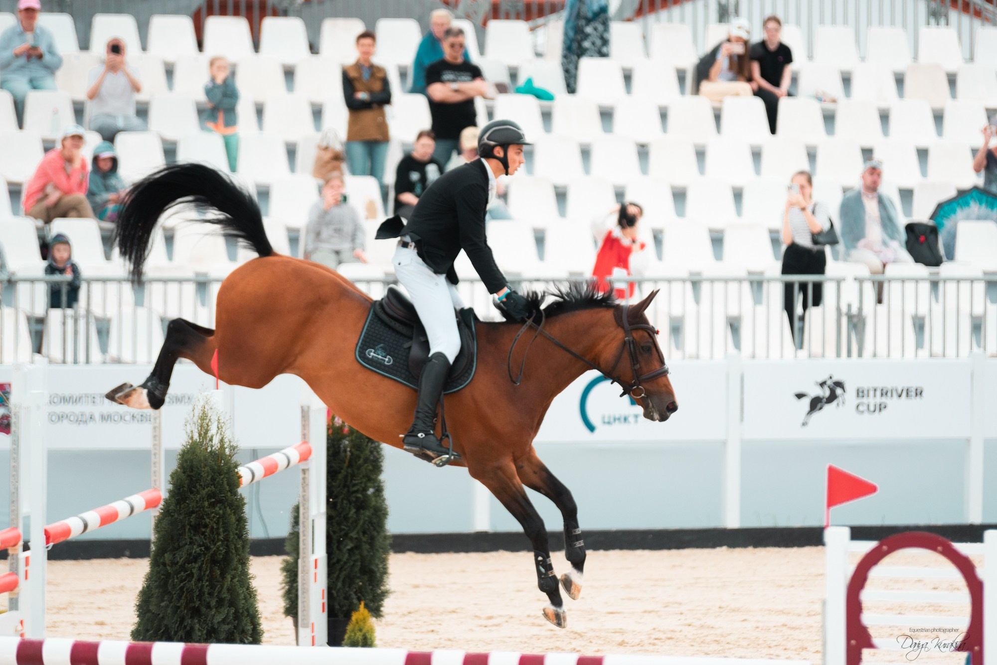 BITRIVER CUP 2023. Конный фотограф Куракина Дарья • Фотосессии с лошадьми