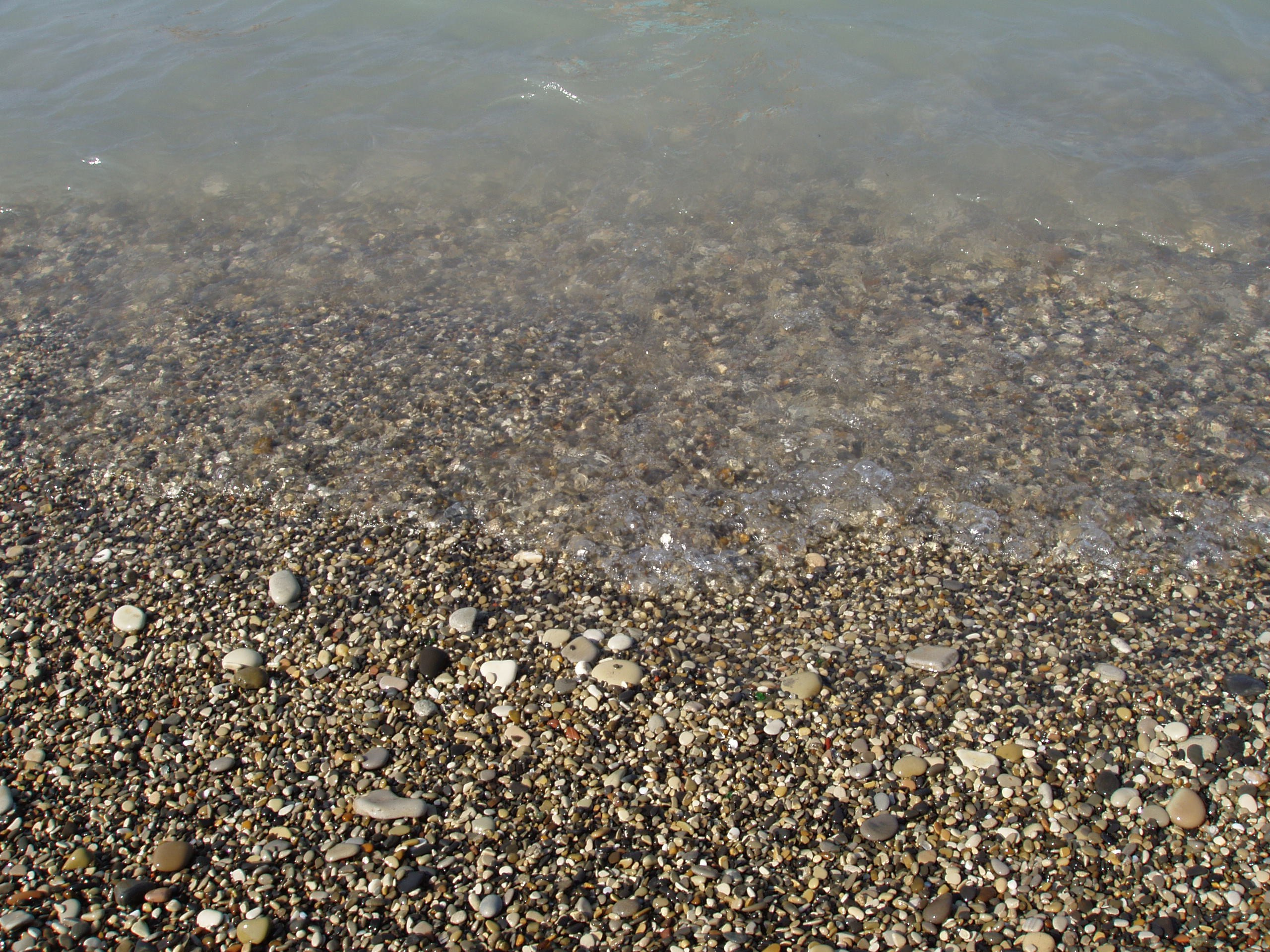 Отпуск 12.06-18.08. Семейный, Свадебный фотограф СПБ Питер— Романова Екатерина