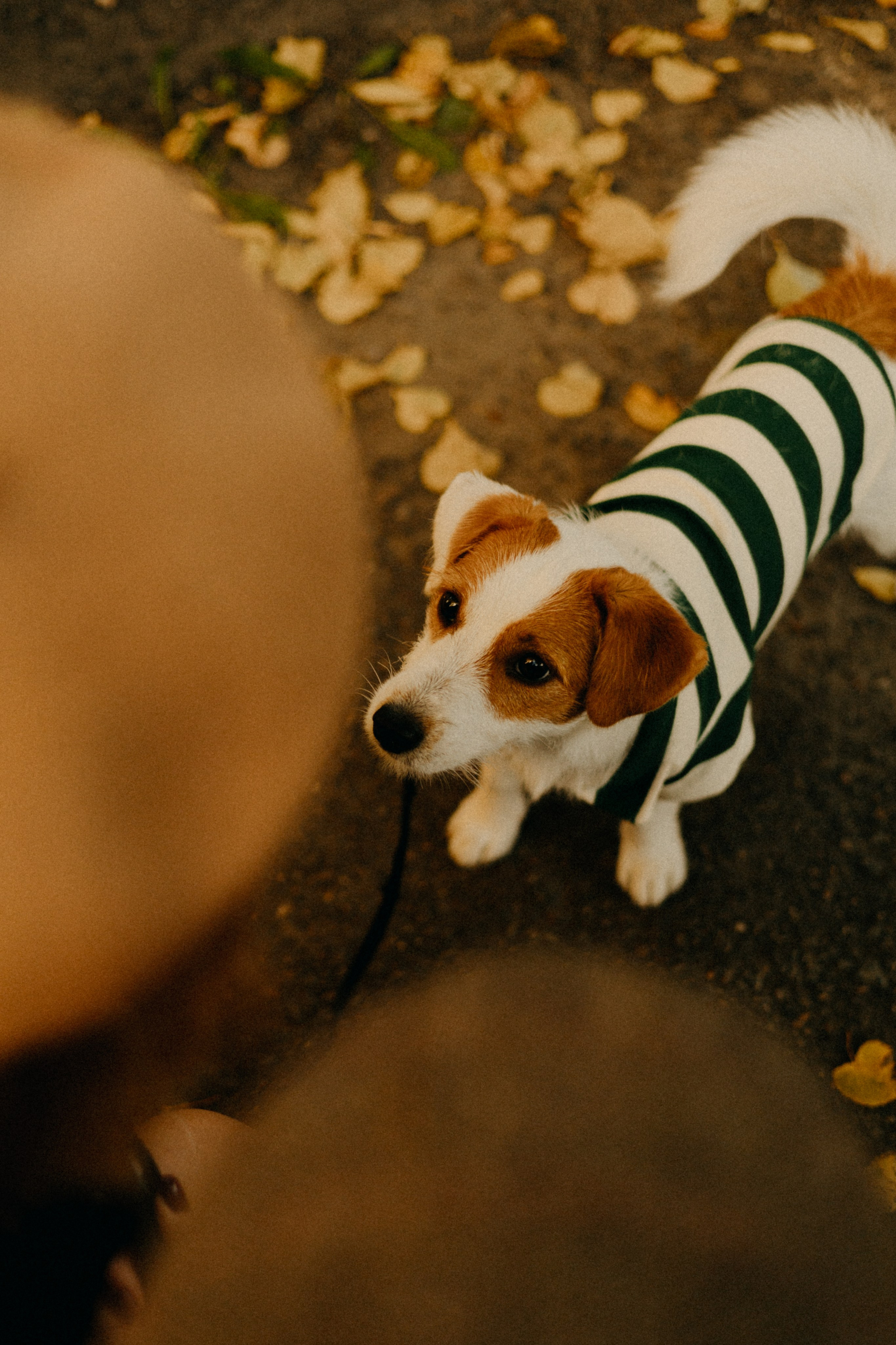 Прогулка втроём. Фотограф Настя Леонова