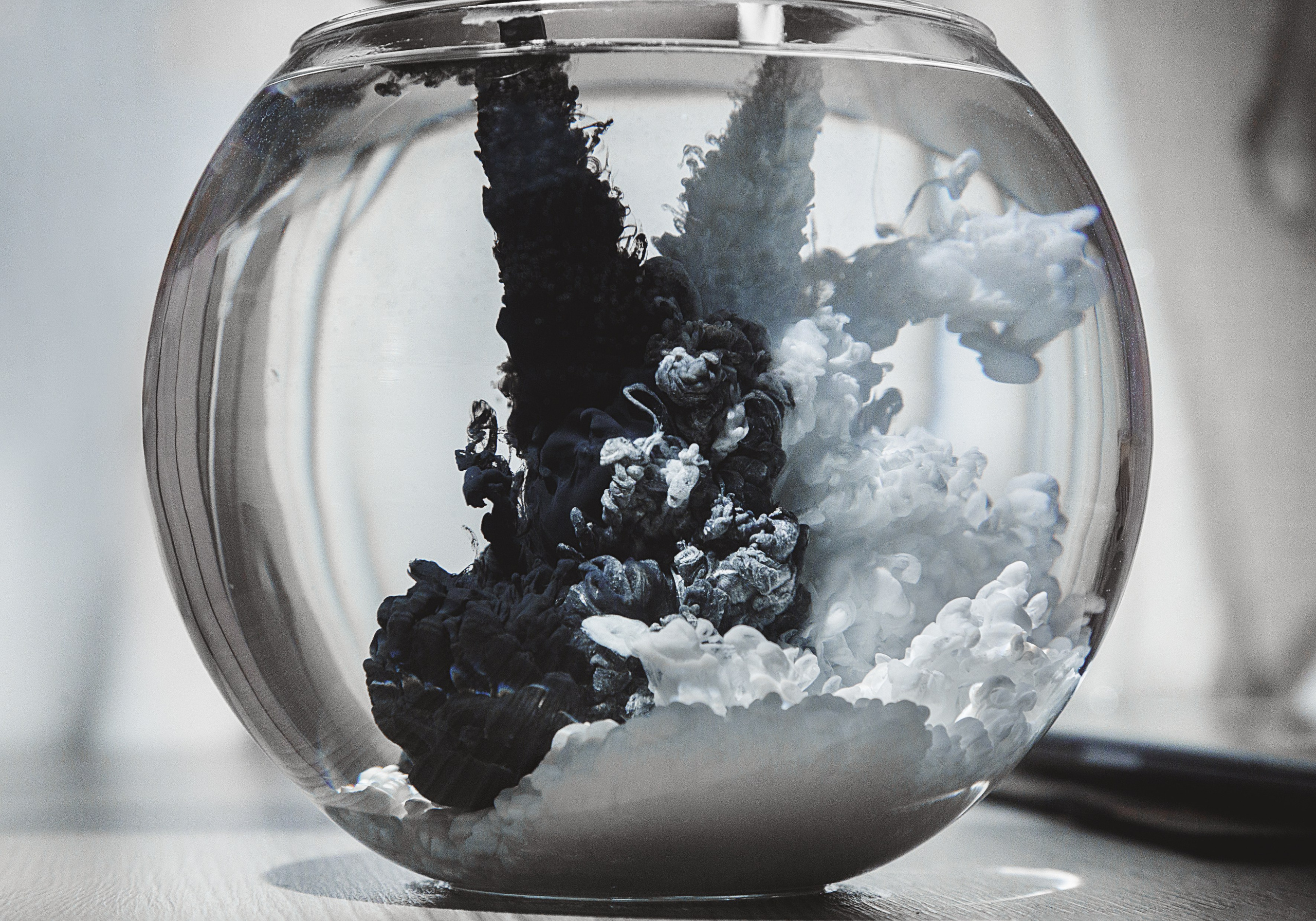 Проект «366»|2024|Фото каждый день. LENA GRACE photographer ||ЛЕНА ГРЭЙС фотограф