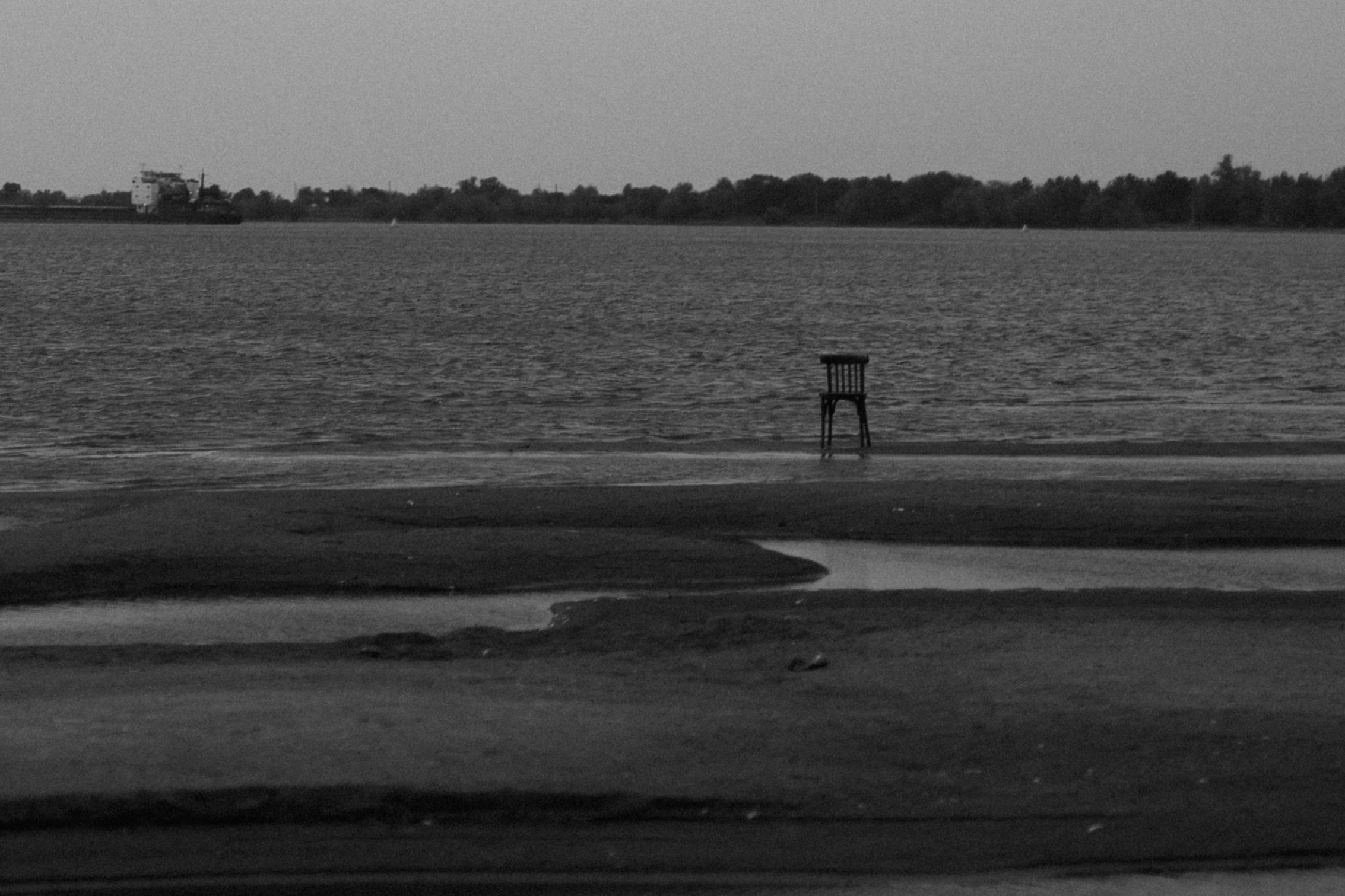 Alexander. Свадебный фотограф Решетников Дмитрий