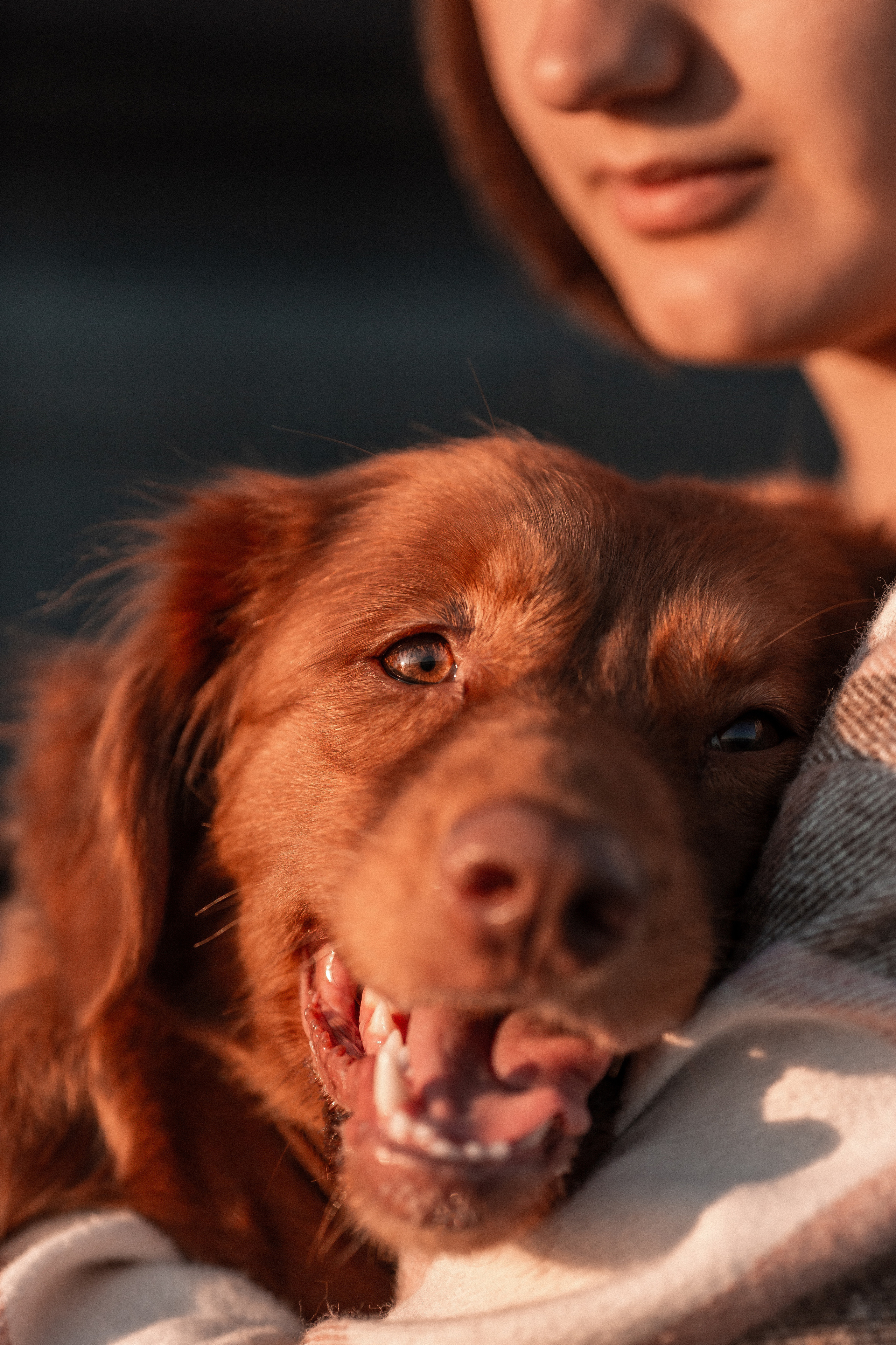 Полина и Эста. Фотограф Анималист в Перми Анастасия Остерман