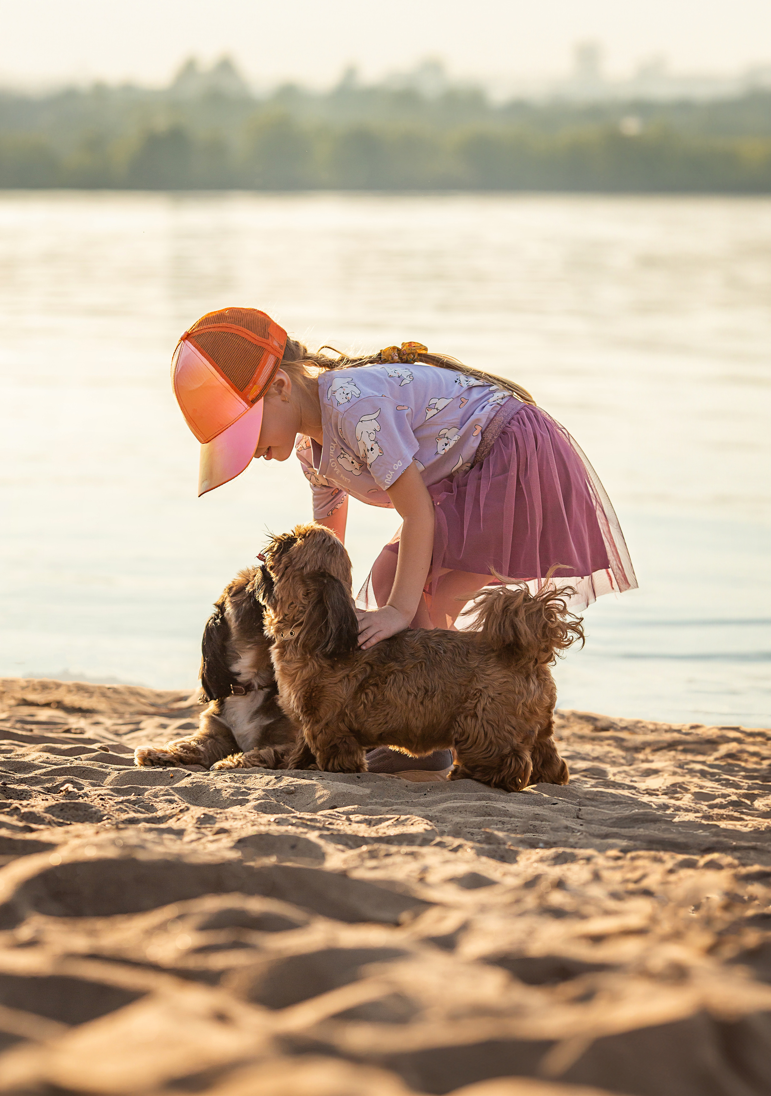 Щи-тцу и малышка. Фотограф Анималист в Перми Анастасия Остерман
