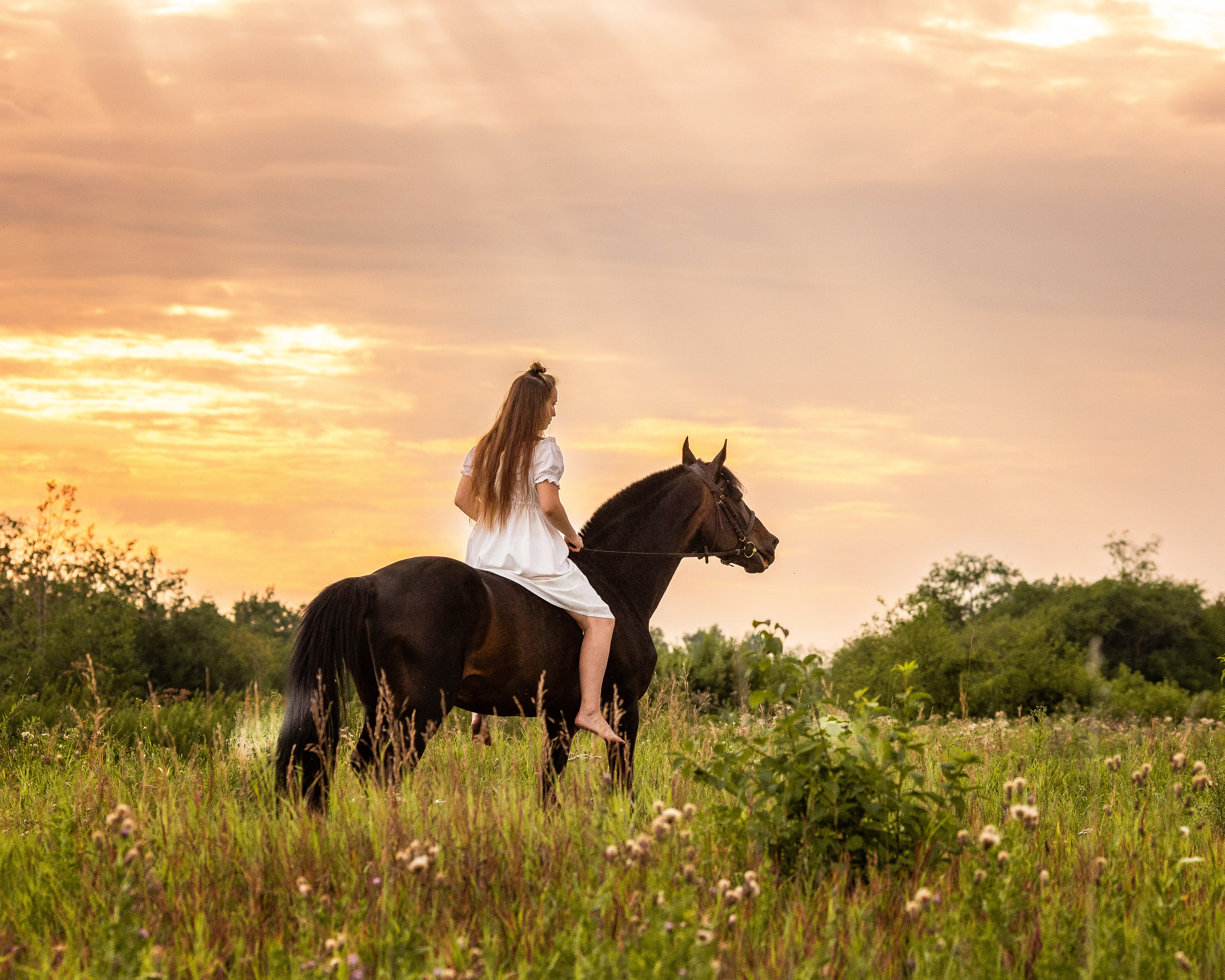 Олеся и Игрек. Фотограф Анималист в Перми Анастасия Остерман