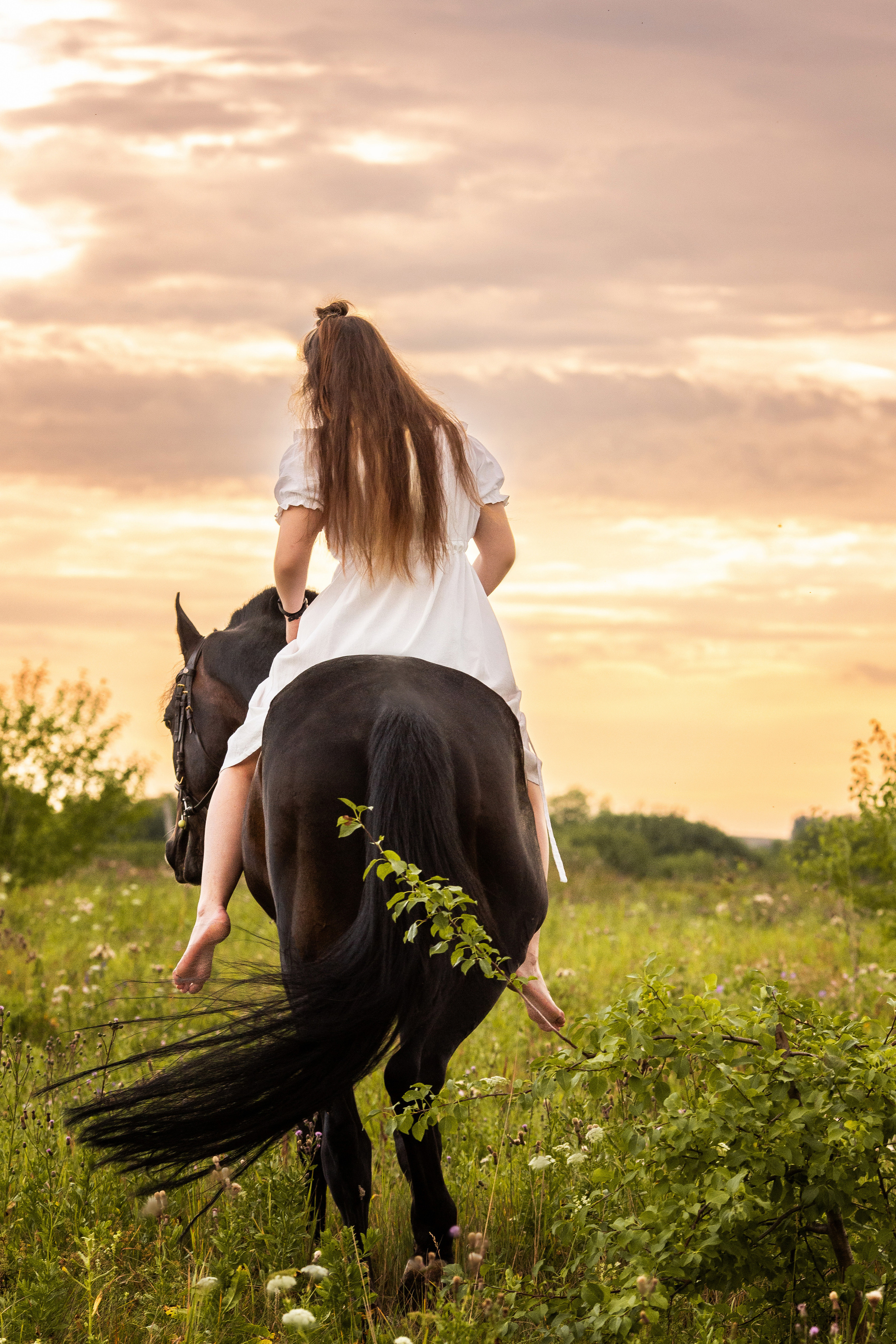 Олеся и Игрек. Фотограф Анималист в Перми Анастасия Остерман