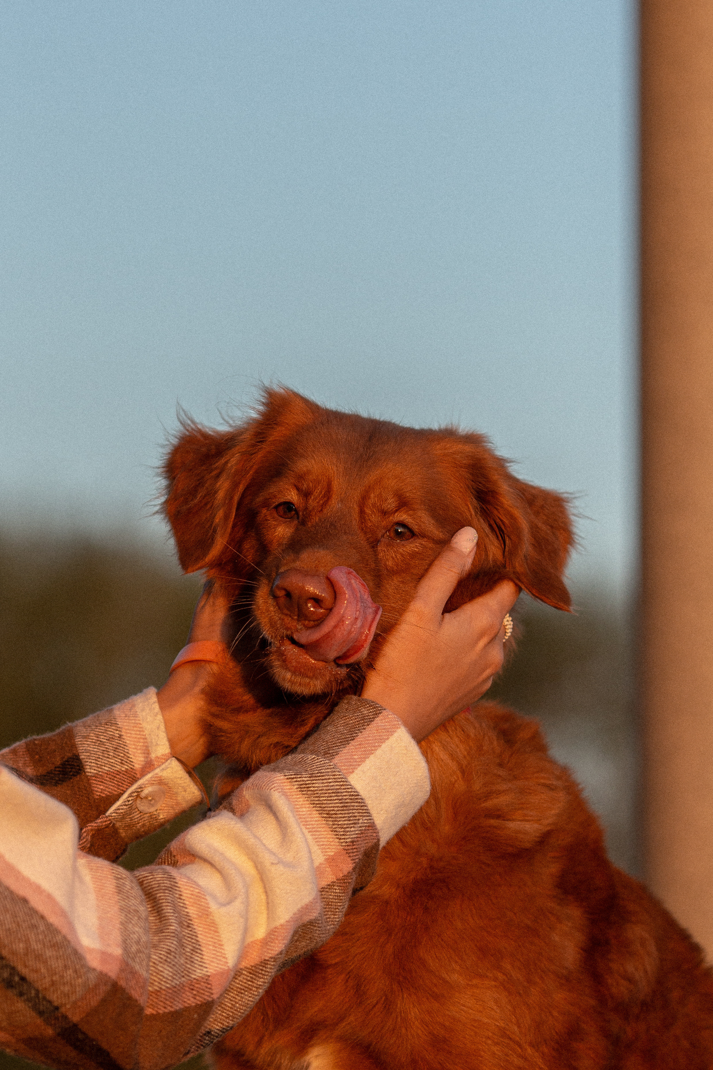 Полина и Эста. Фотограф Анималист в Перми Анастасия Остерман