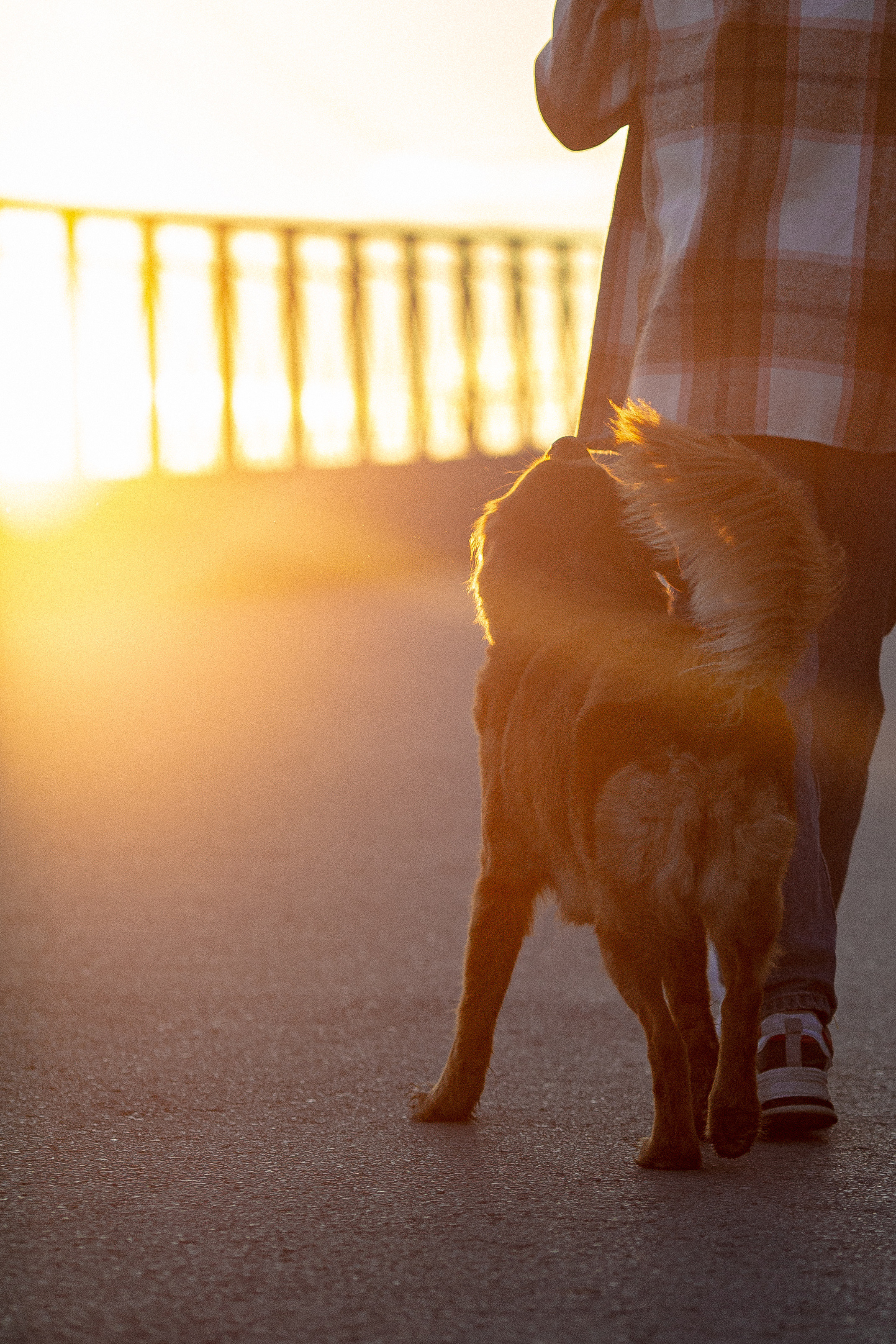 Полина и Эста. Фотограф Анималист в Перми Анастасия Остерман