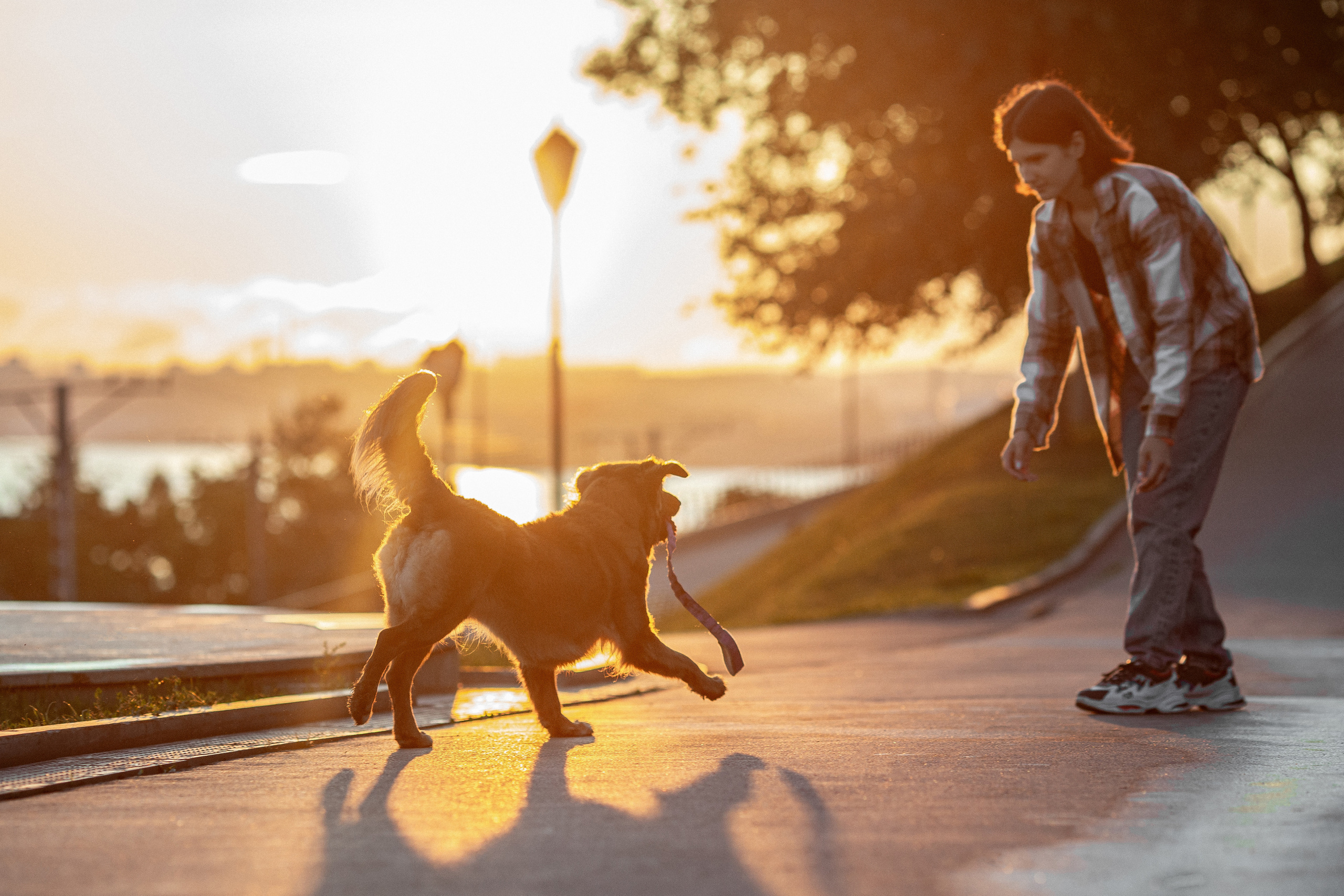 Полина и Эста. Фотограф Анималист в Перми Анастасия Остерман