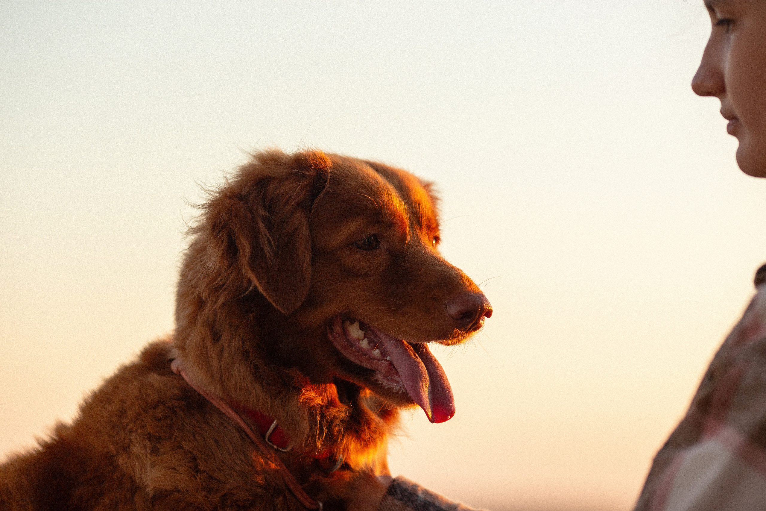 Полина и Эста. Фотограф Анималист в Перми Анастасия Остерман