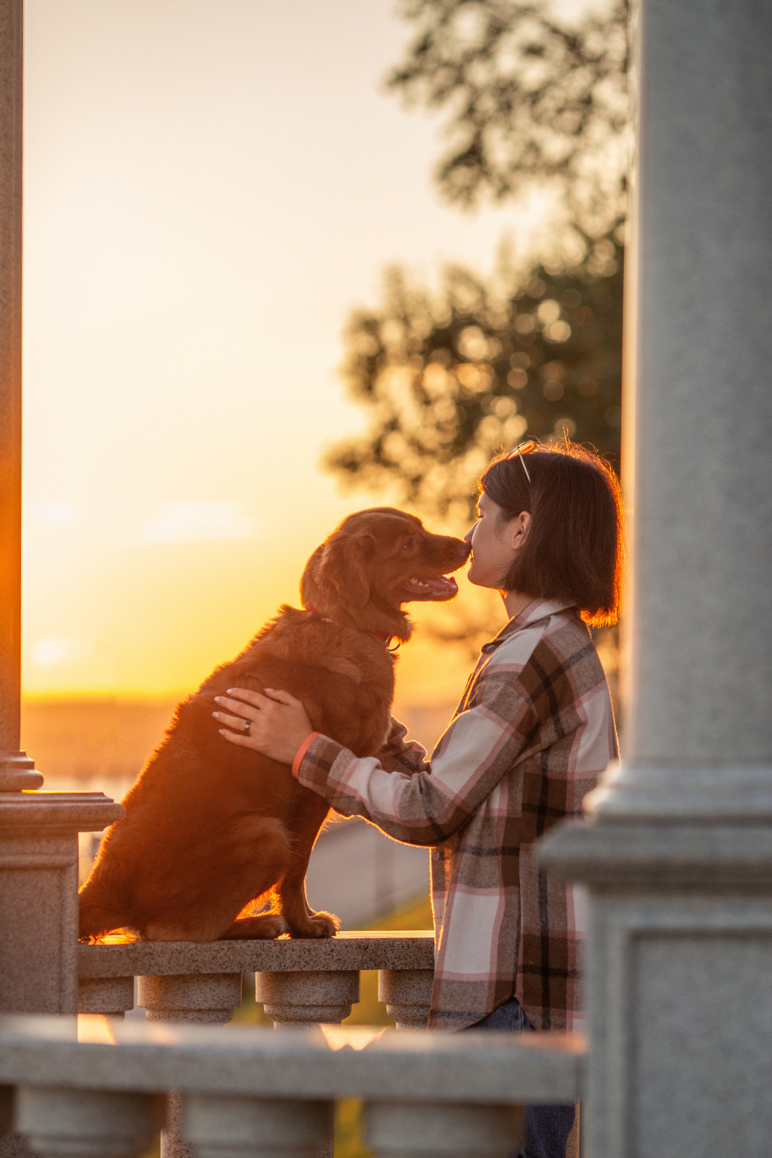 Полина и Эста. Фотограф Анималист в Перми Анастасия Остерман