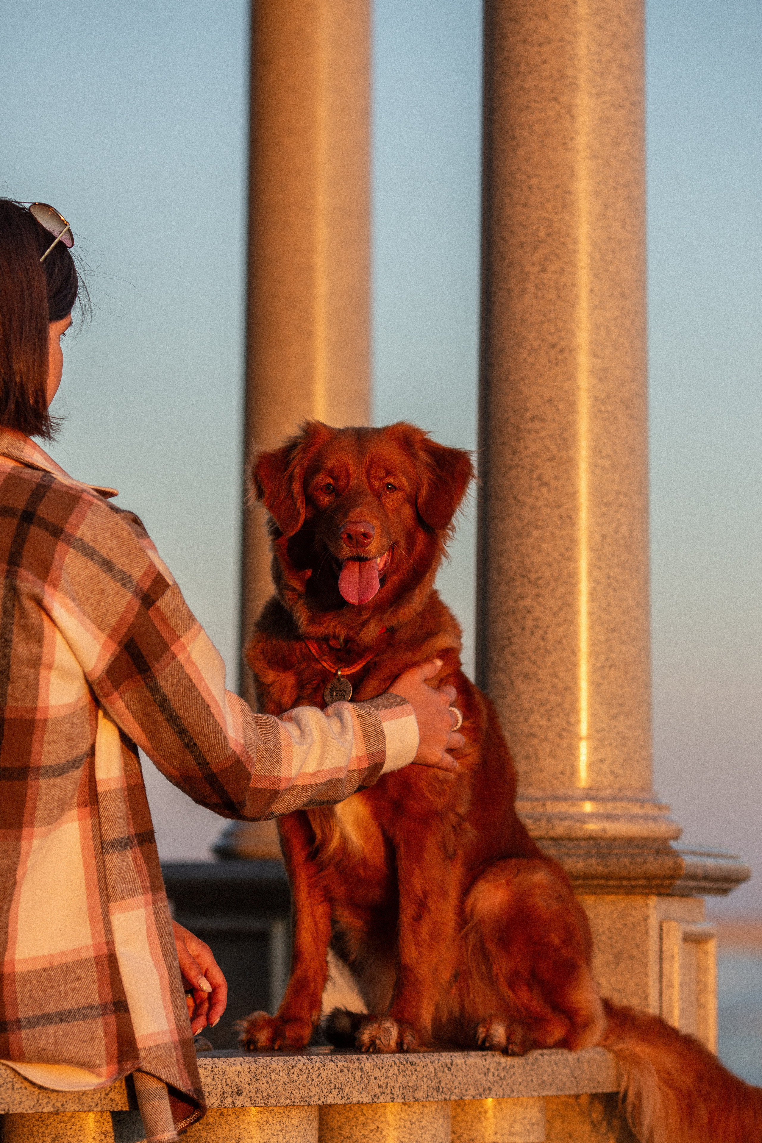 Полина и Эста. Фотограф Анималист в Перми Анастасия Остерман