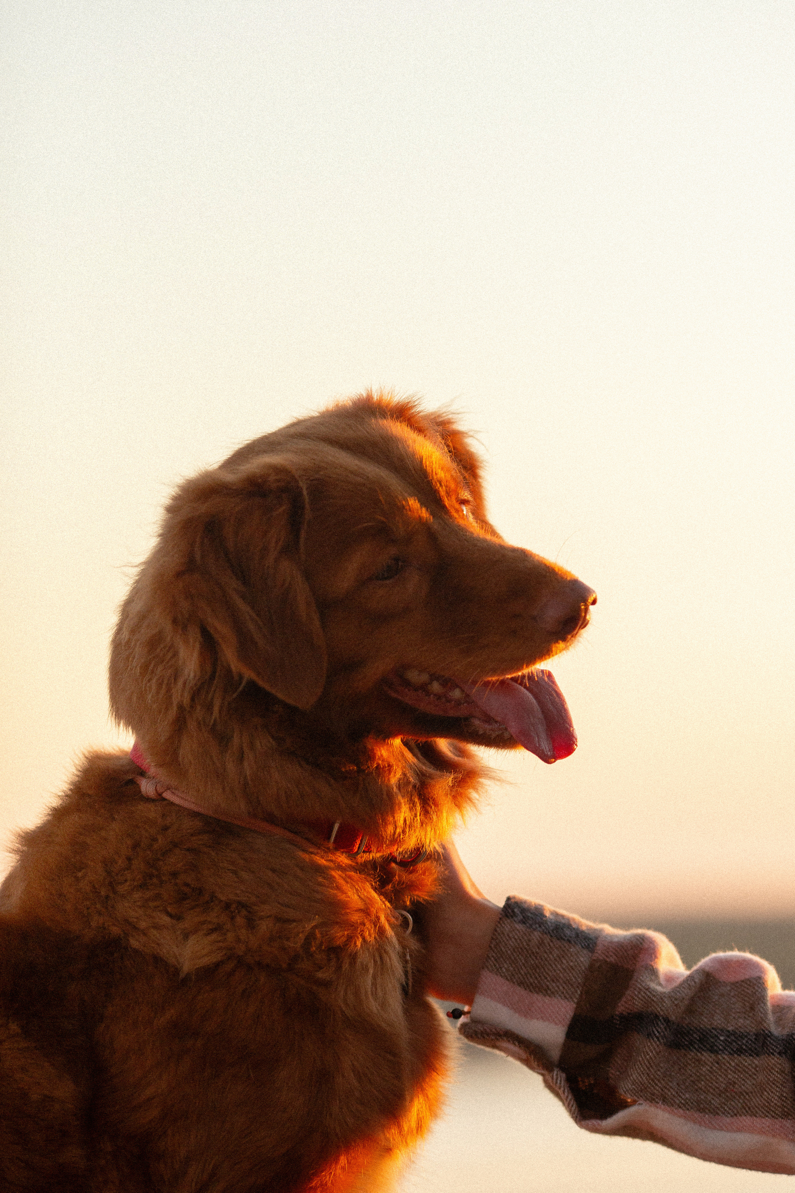 Полина и Эста. Фотограф Анималист в Перми Анастасия Остерман