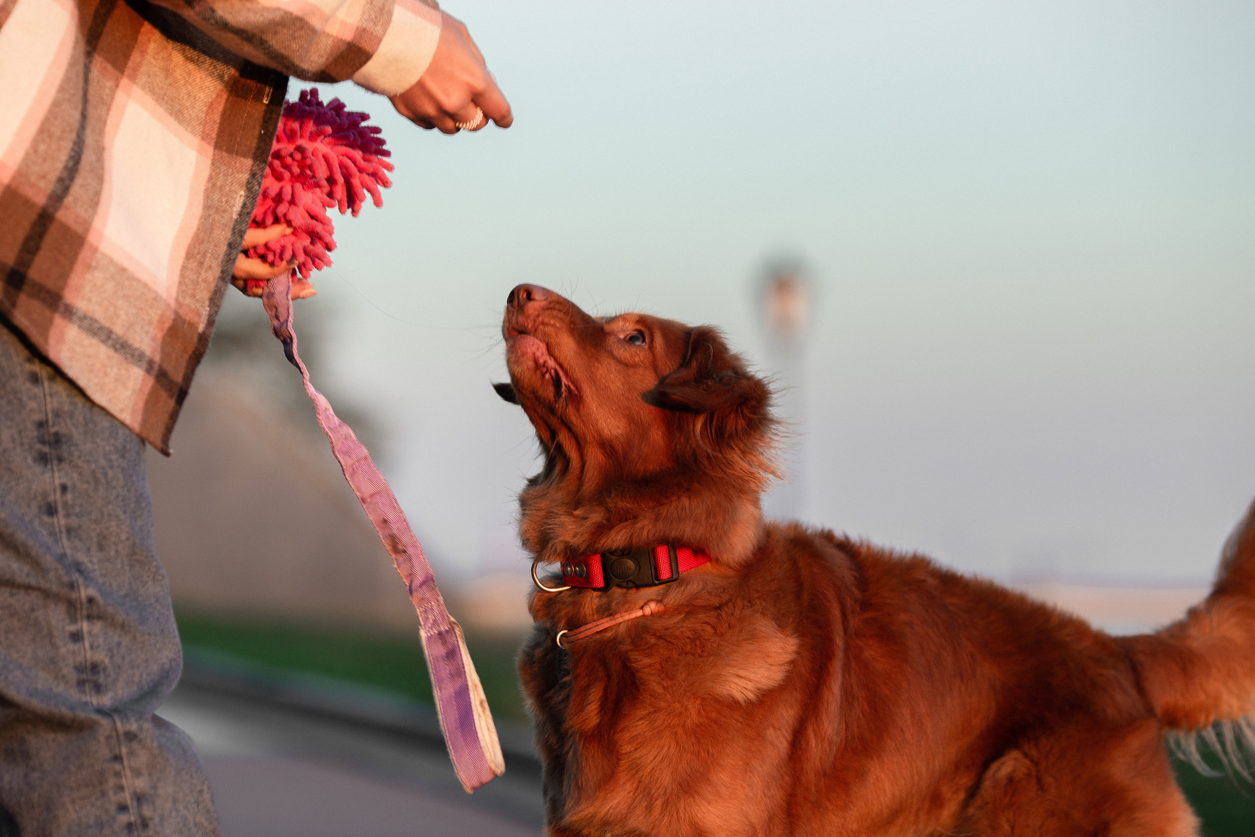 Полина и Эста. Фотограф Анималист в Перми Анастасия Остерман